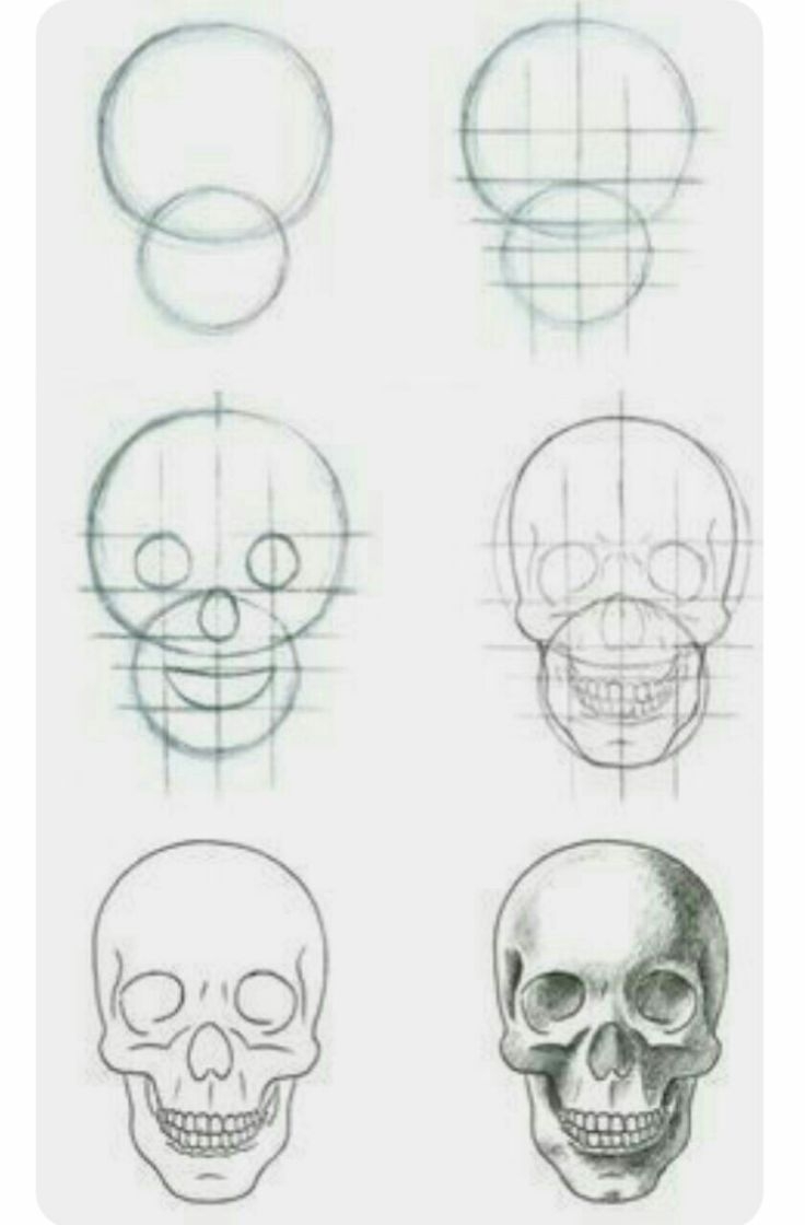 Поэтапное рисование черепа человека