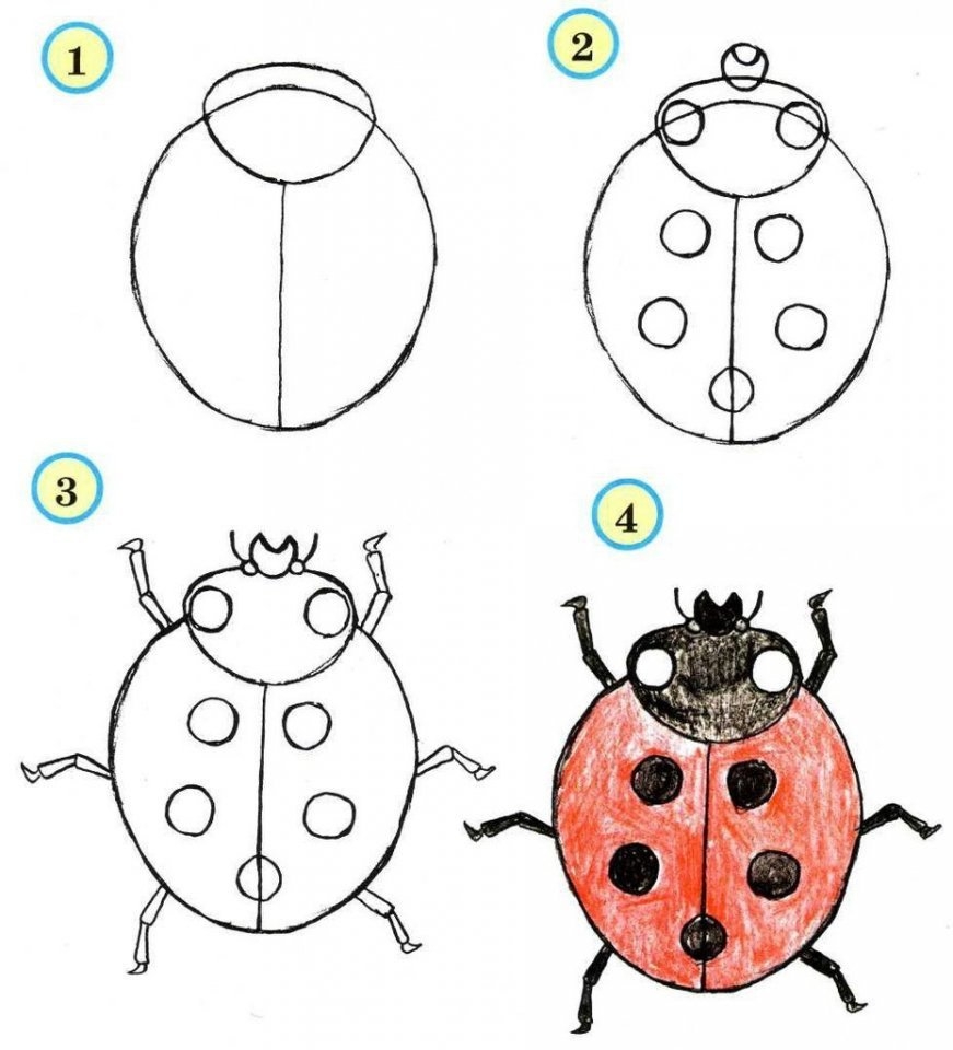 рисуем насекомых поэтапно для детей