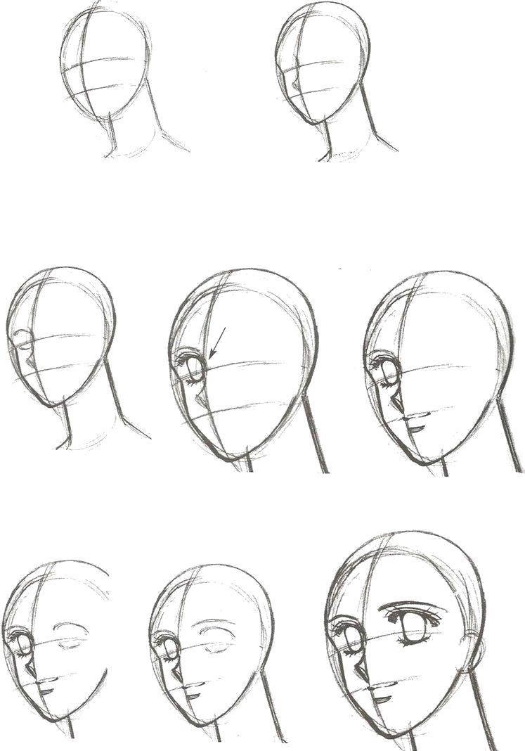 Поэтапное рисование головы и лица