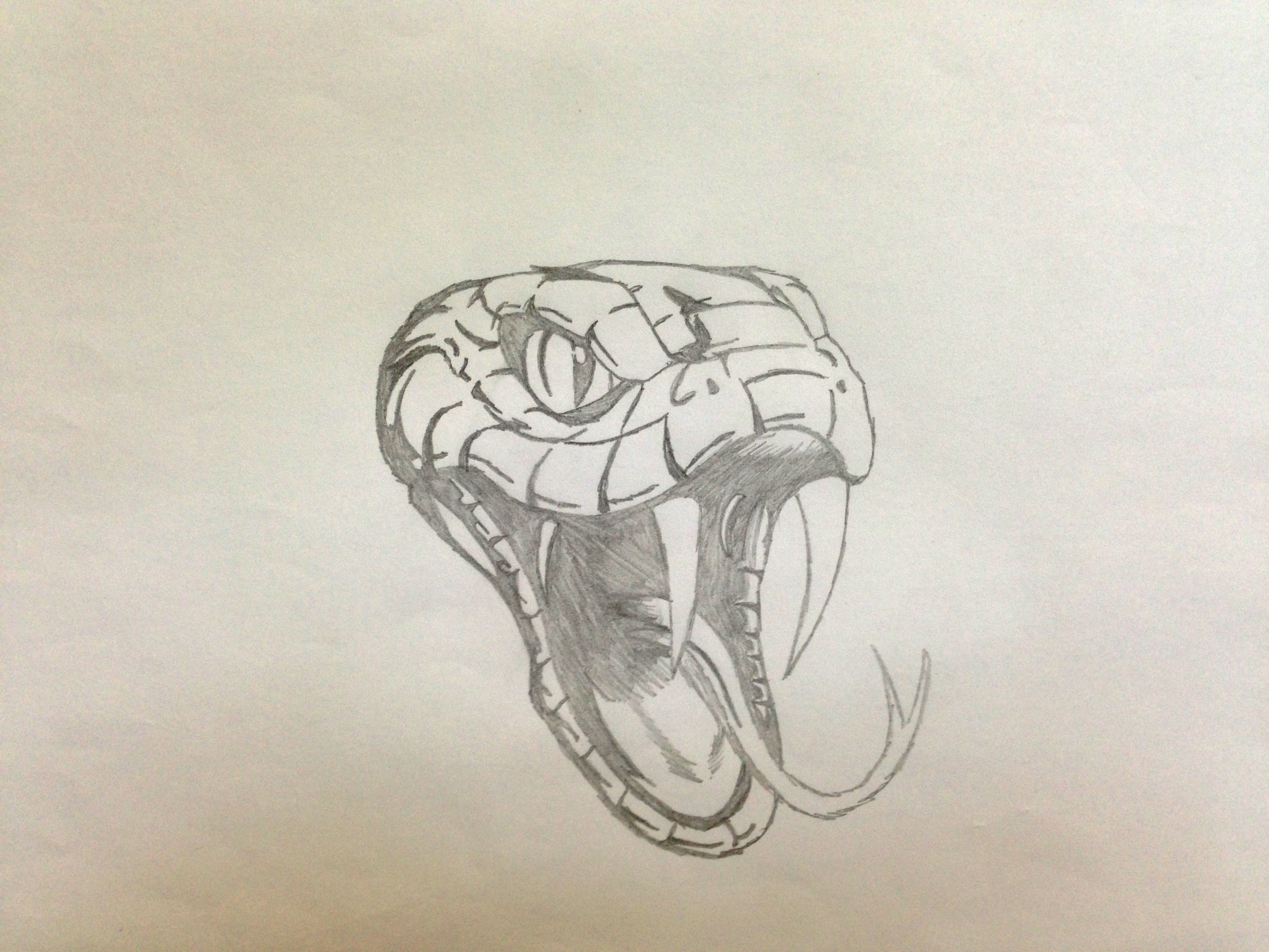 Голова змеи рисунок