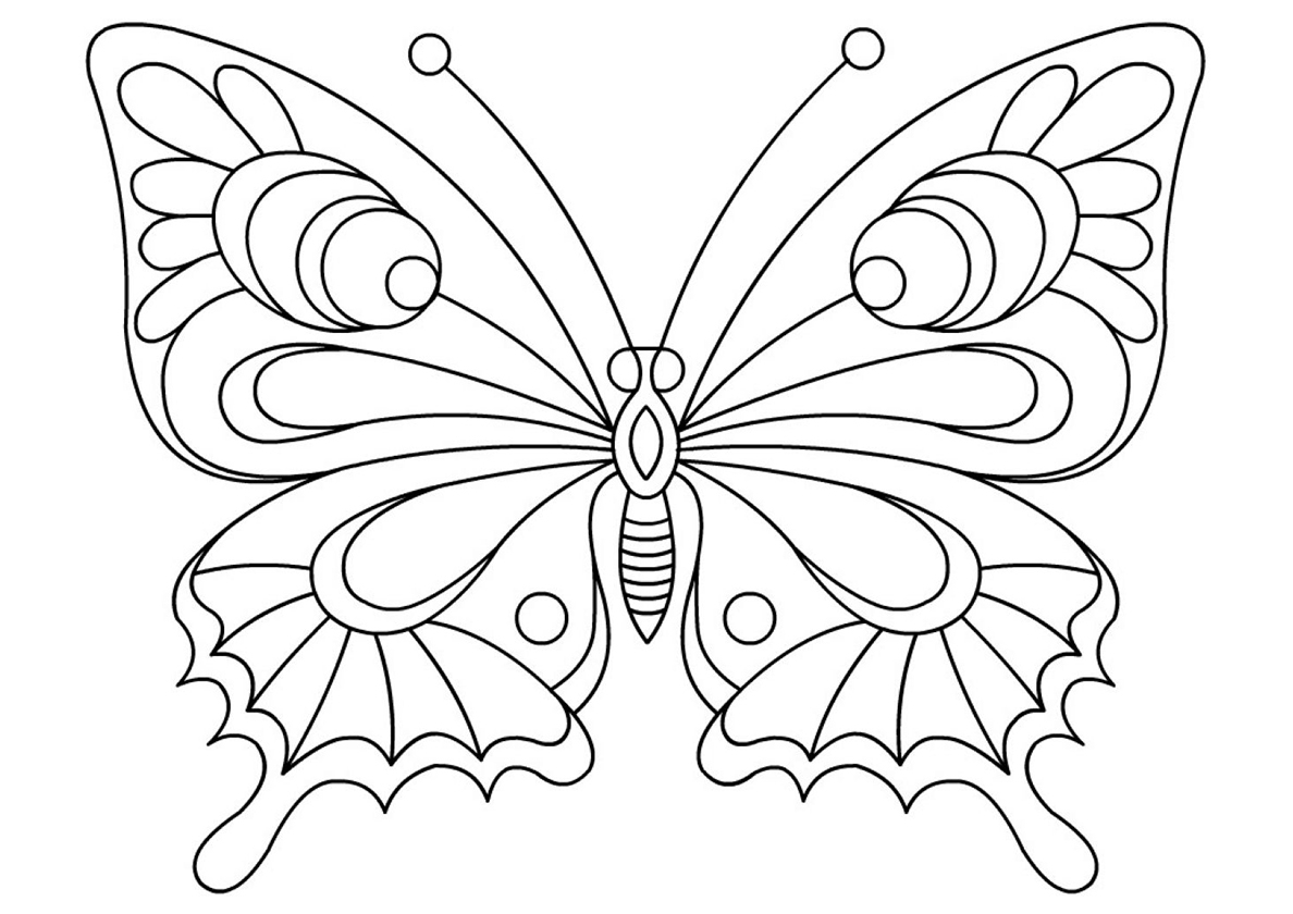 Бабочки: изображения без лицензионных платежей