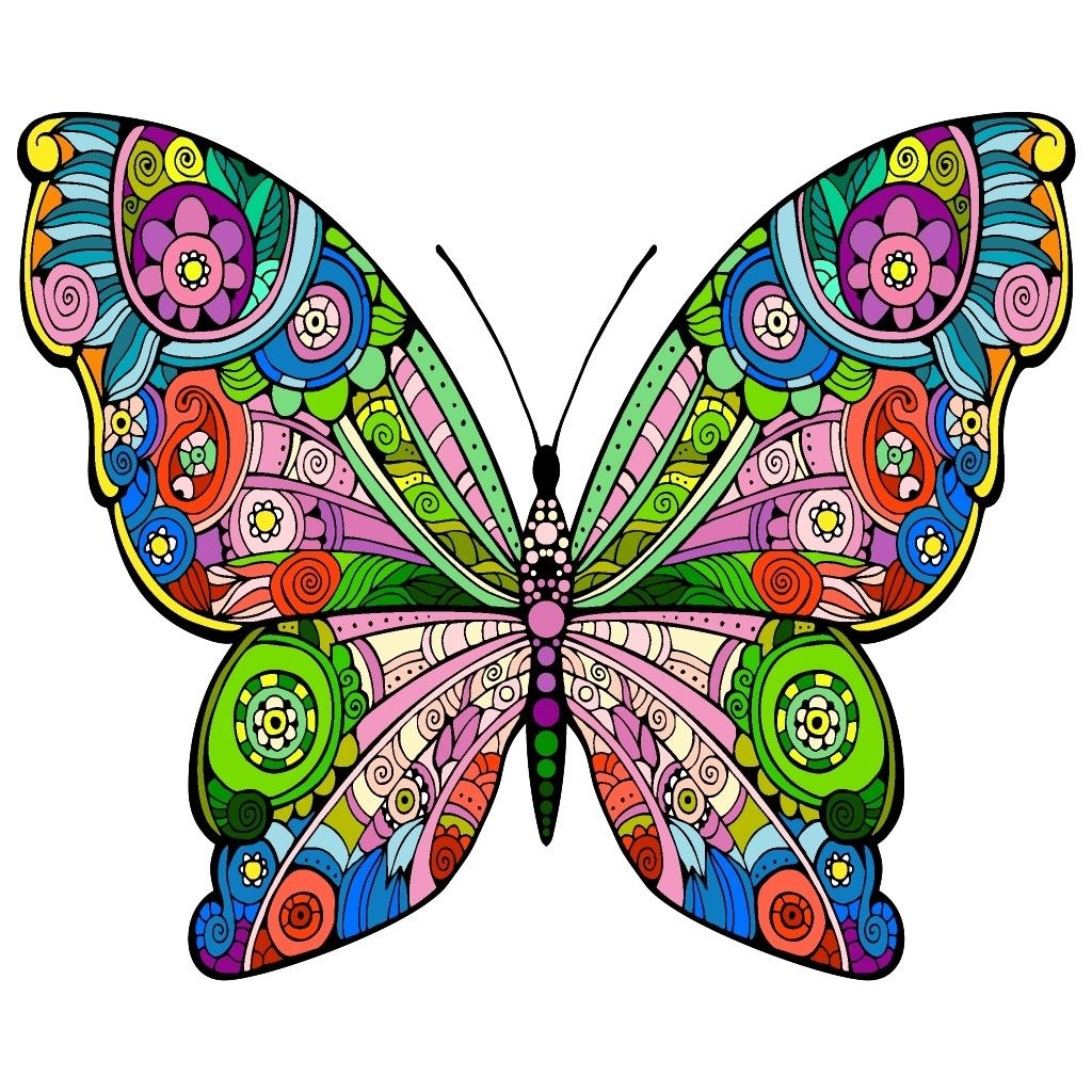 Раскраска 8л А5ф цветной блок на скобе Первые уроки-Бабочки-