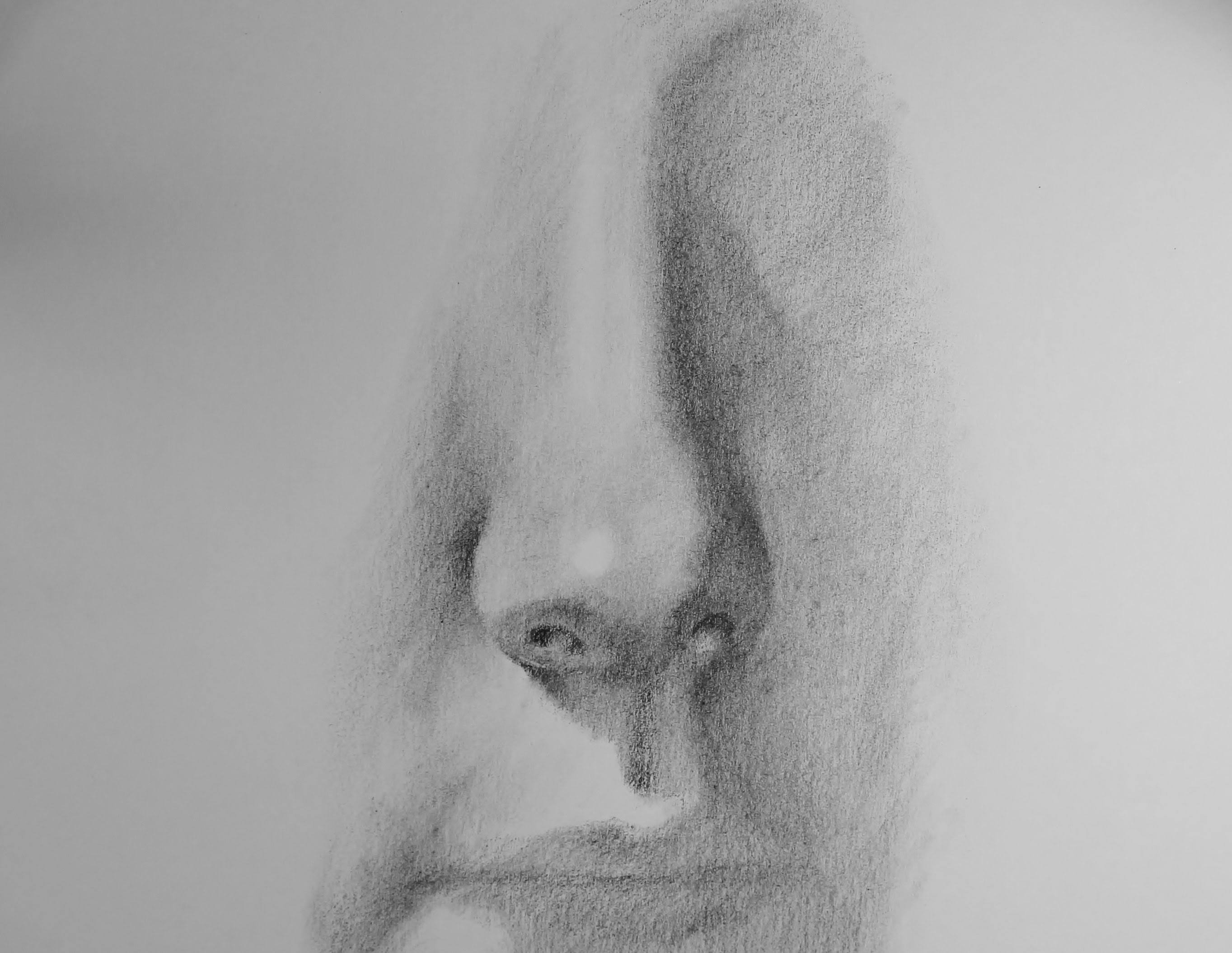 Грустный нос. Нос Графика. Нос натура. Нос рисунок. Графическое изображение носа.