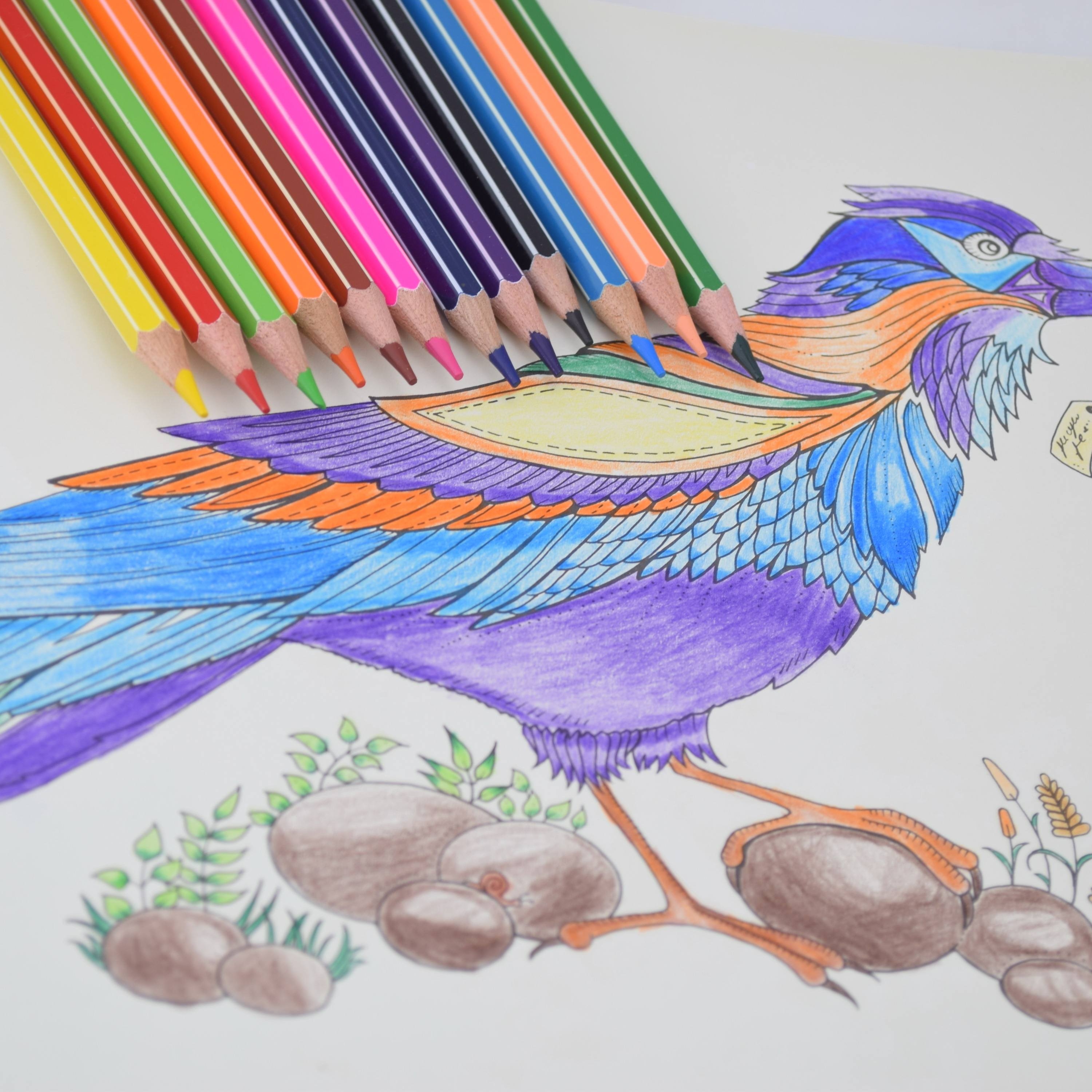 Интересные цветными карандашами. Рисование цветными карандашами. Рисование цветными карандашами для детей. Карандаши цветные. Иллюстрации цветными карандашами.