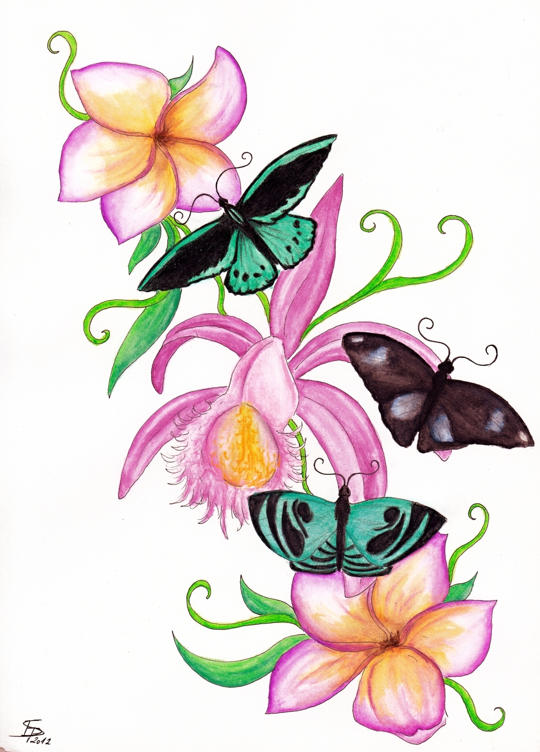 Раскраска Бабочки и цветы