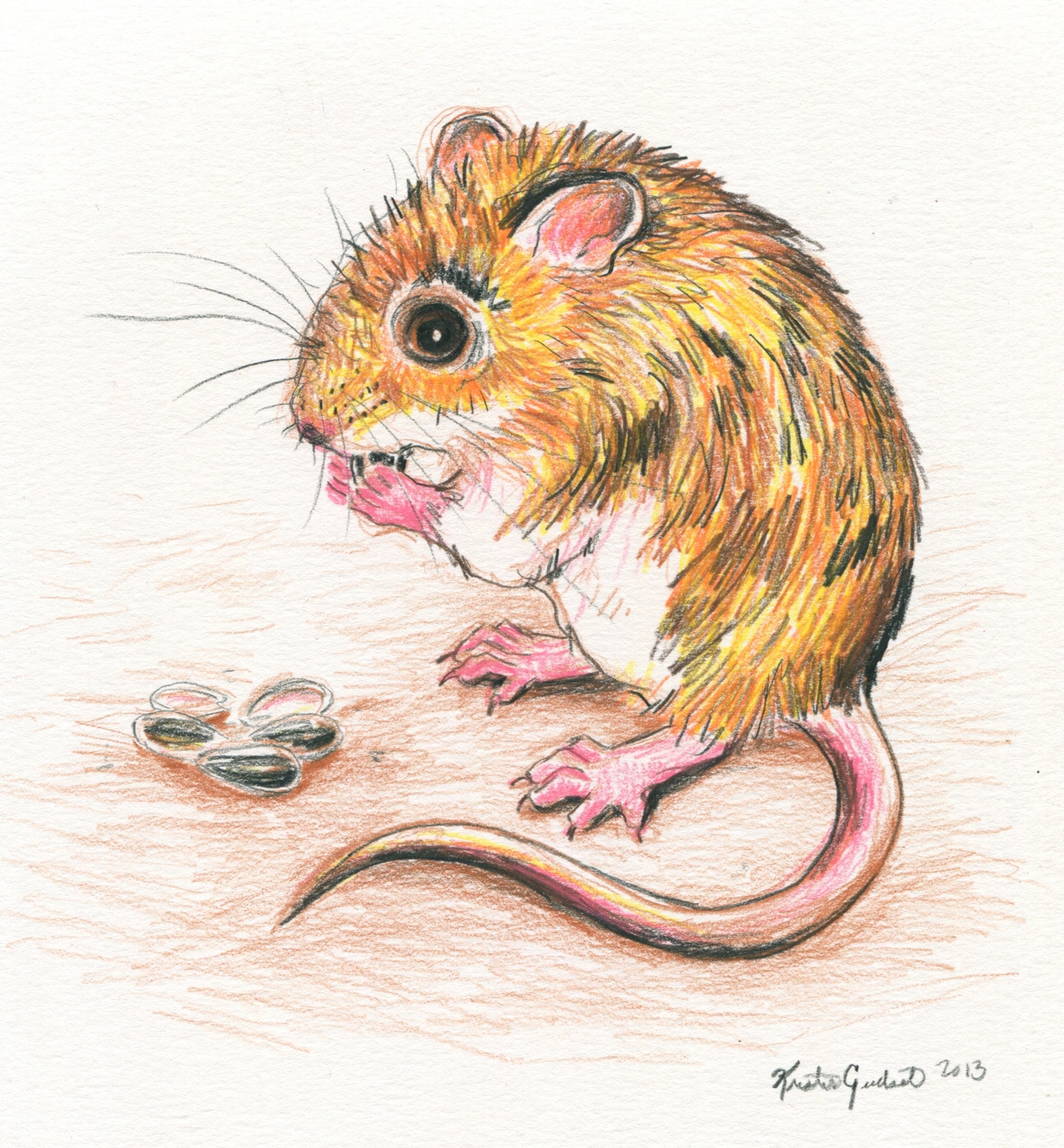Рис мыши. Мышь пастелью. Крыса акварелью. Мышка цветными карандашами. Мышь рисунок красками.