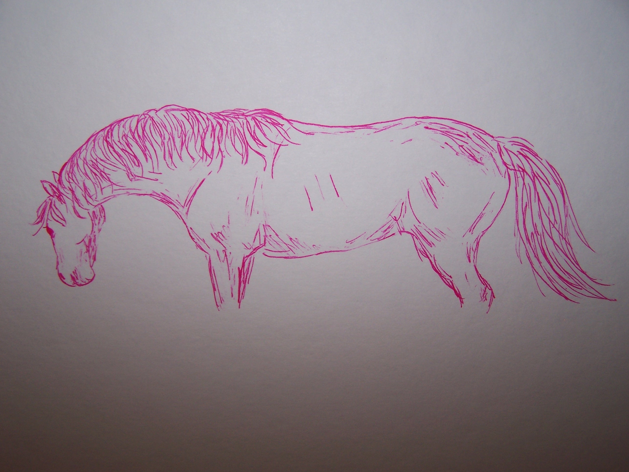 Конь м розовой гривой. Конь с розовой гривой рисунок. Лошадь с розовой гривой. Рисунок конь с розовой. Иллюстрация к рассказу конь с розовой гривой.