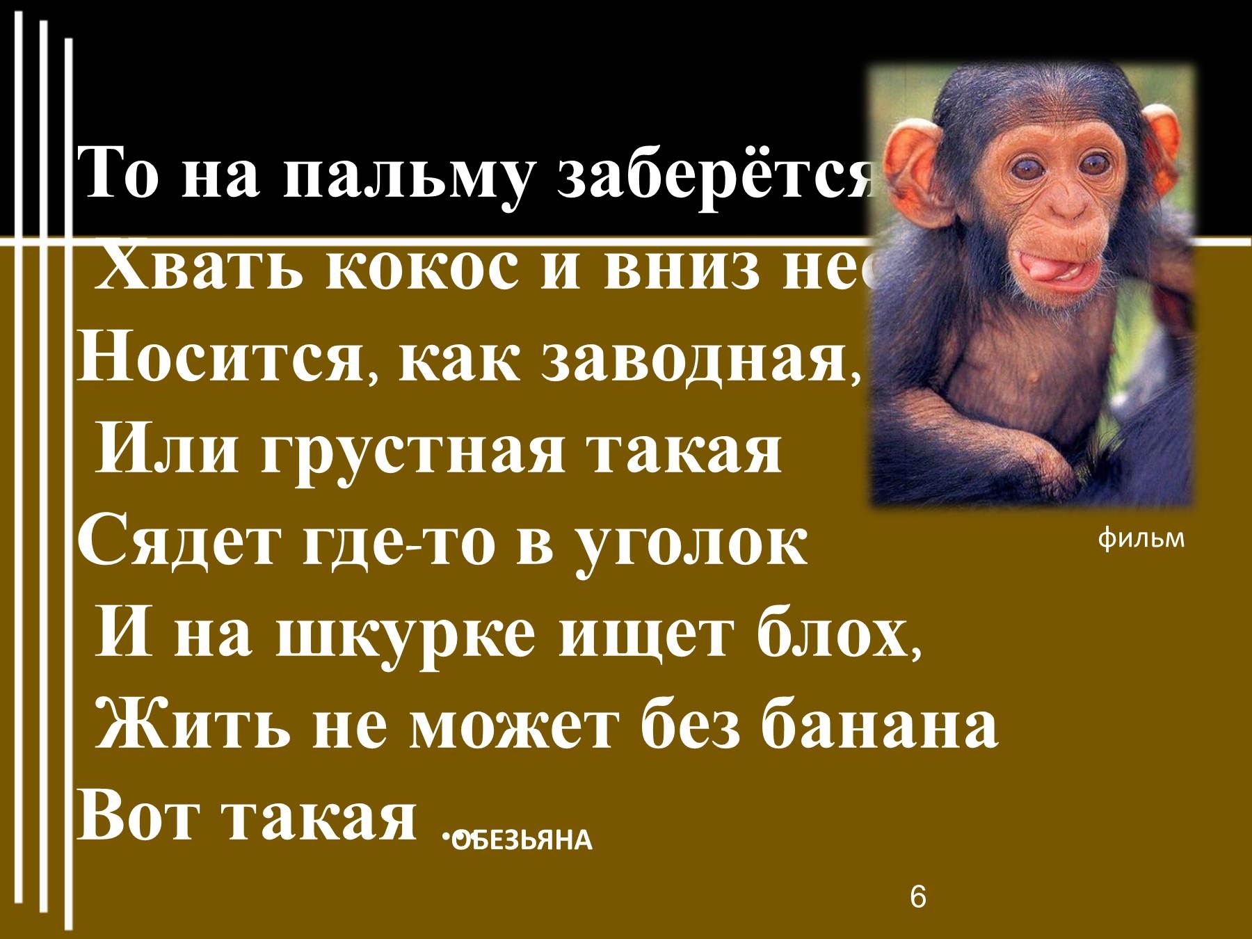 Описание обезьянки из рассказа житкова про обезьянку. Про обезьянку 3 класс. Житков про обезьянку. Предложение про обезьяну. Рисунок к рассказу про обезьянку.