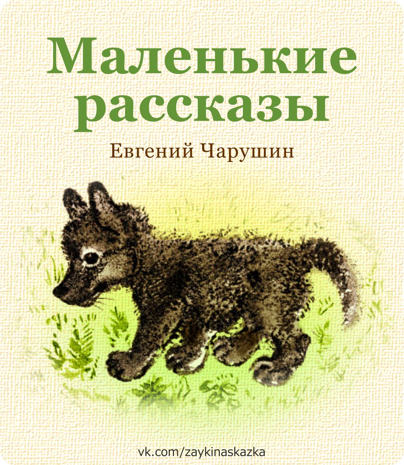 Произведения про зверей. Чарушин обложки книг для детей.