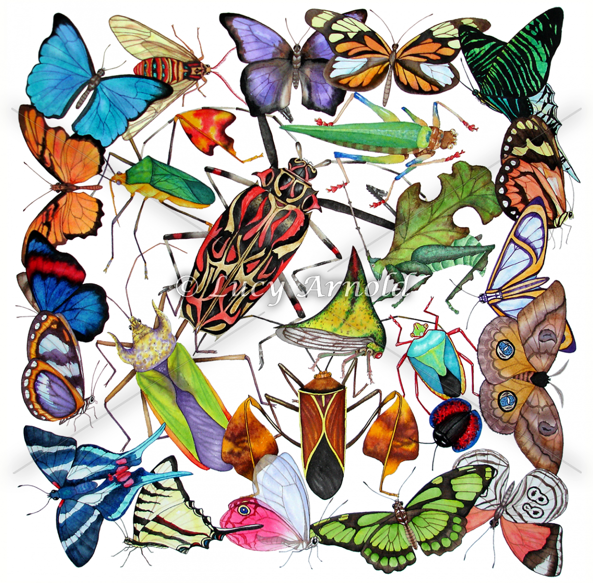 Разноцветные жуки и бабочки. Стилизация насекомых. Стилизация насекомых в цвете. Стилизация насекомых в графике. Стилизованные насекомые в графике.