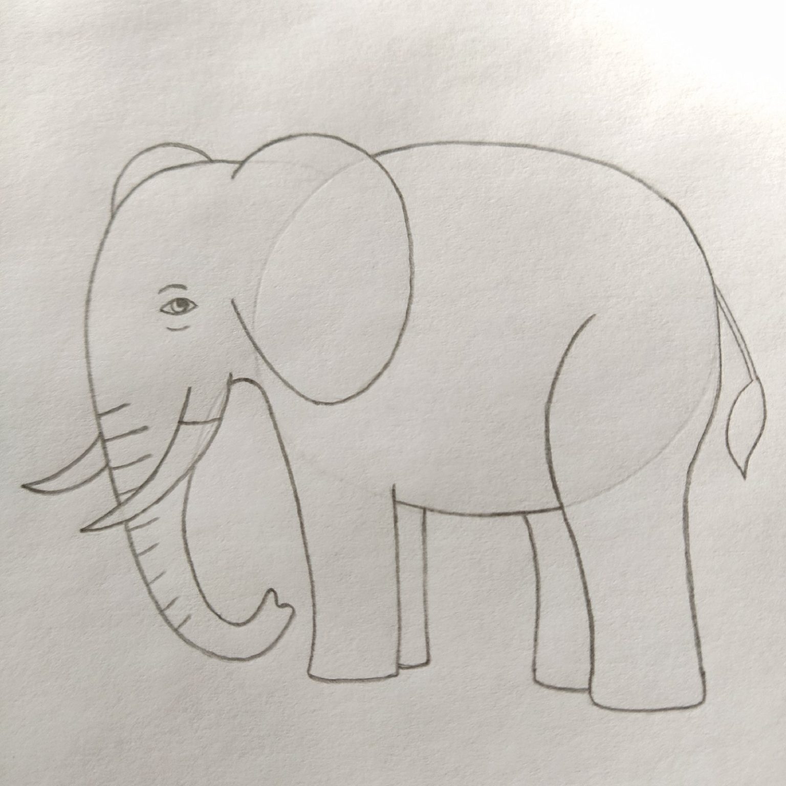 Большой слон Животные Раскраска картина по номерам на холсте AAAA-C3876
