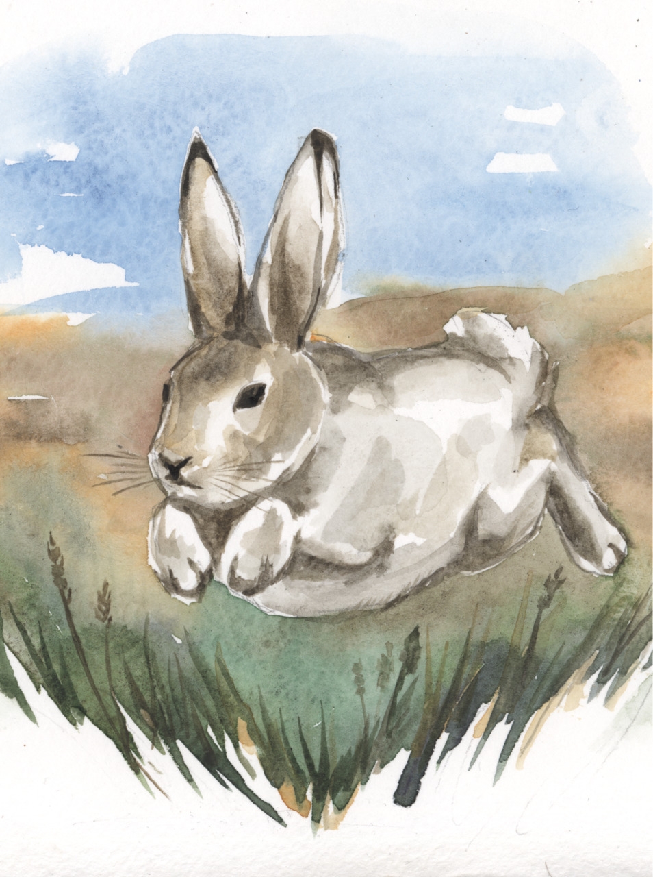 Стихотворение рубцова заяц