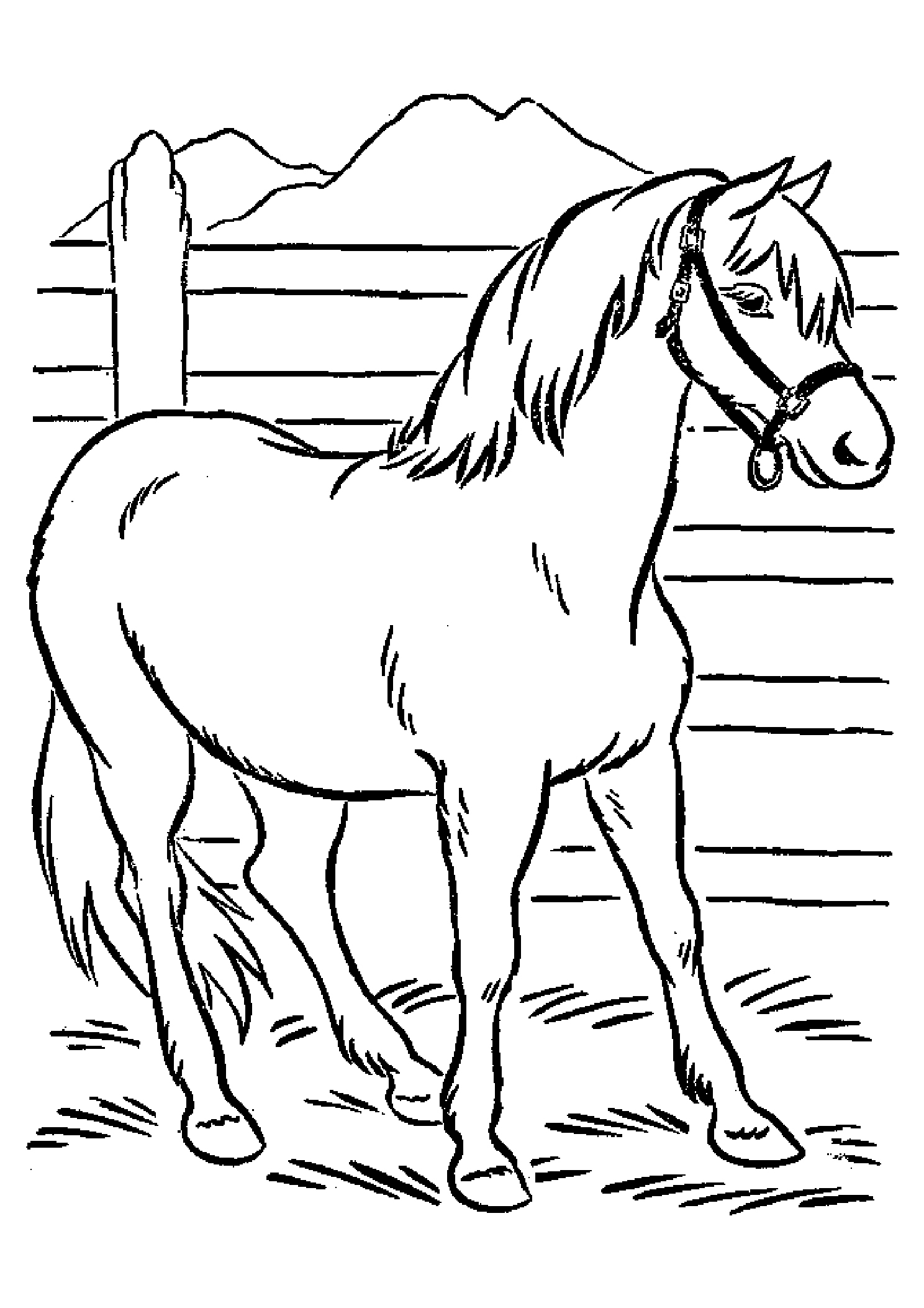 Раскрасить лошадку. Раскраска. Лошади. Лошадка раскраска для детей. Лошадь раскраска для детей. Рисунок лошади для раскрашивания.