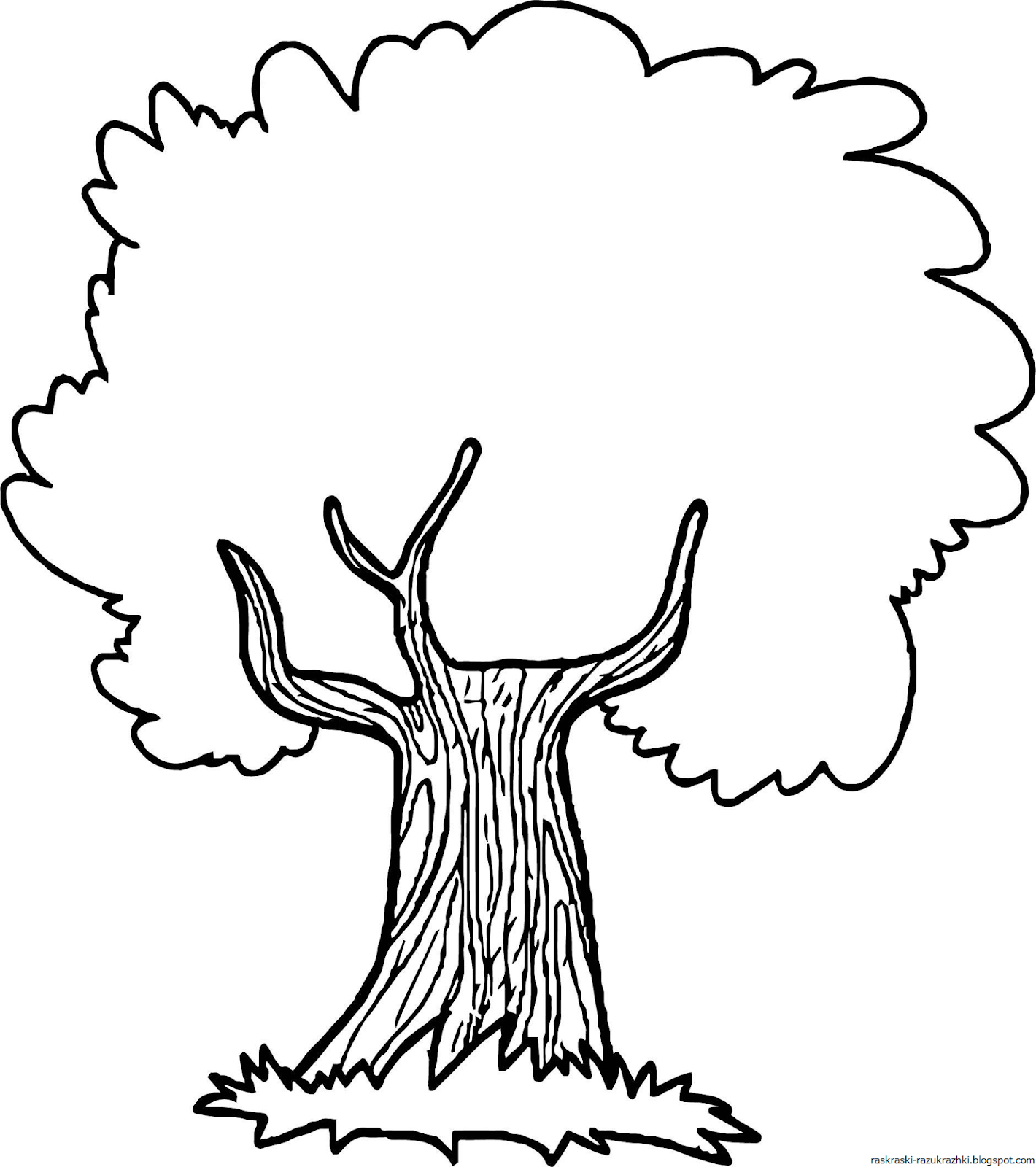 «Дерево дуб» бесплатная раскраска для детей - мальчиков и девочек
