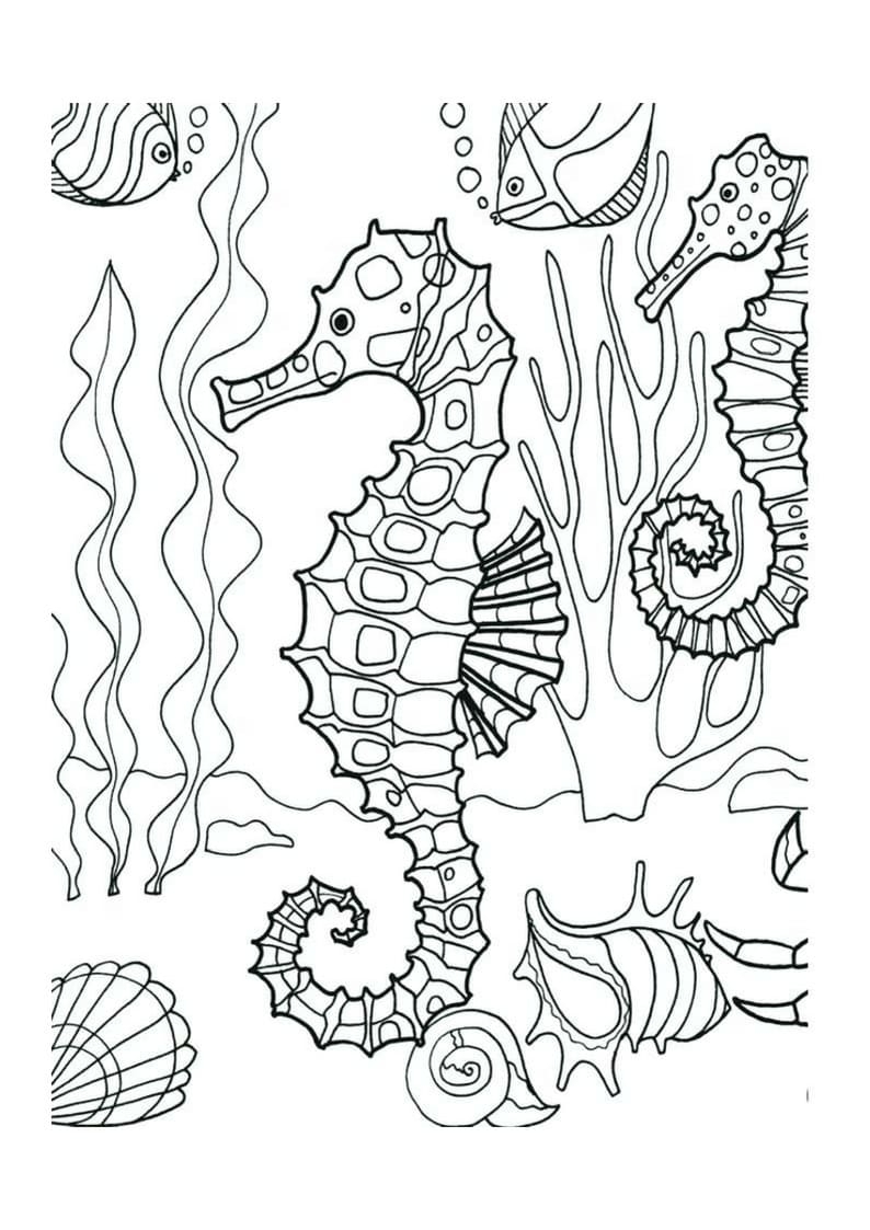 Раскраски Морской конек