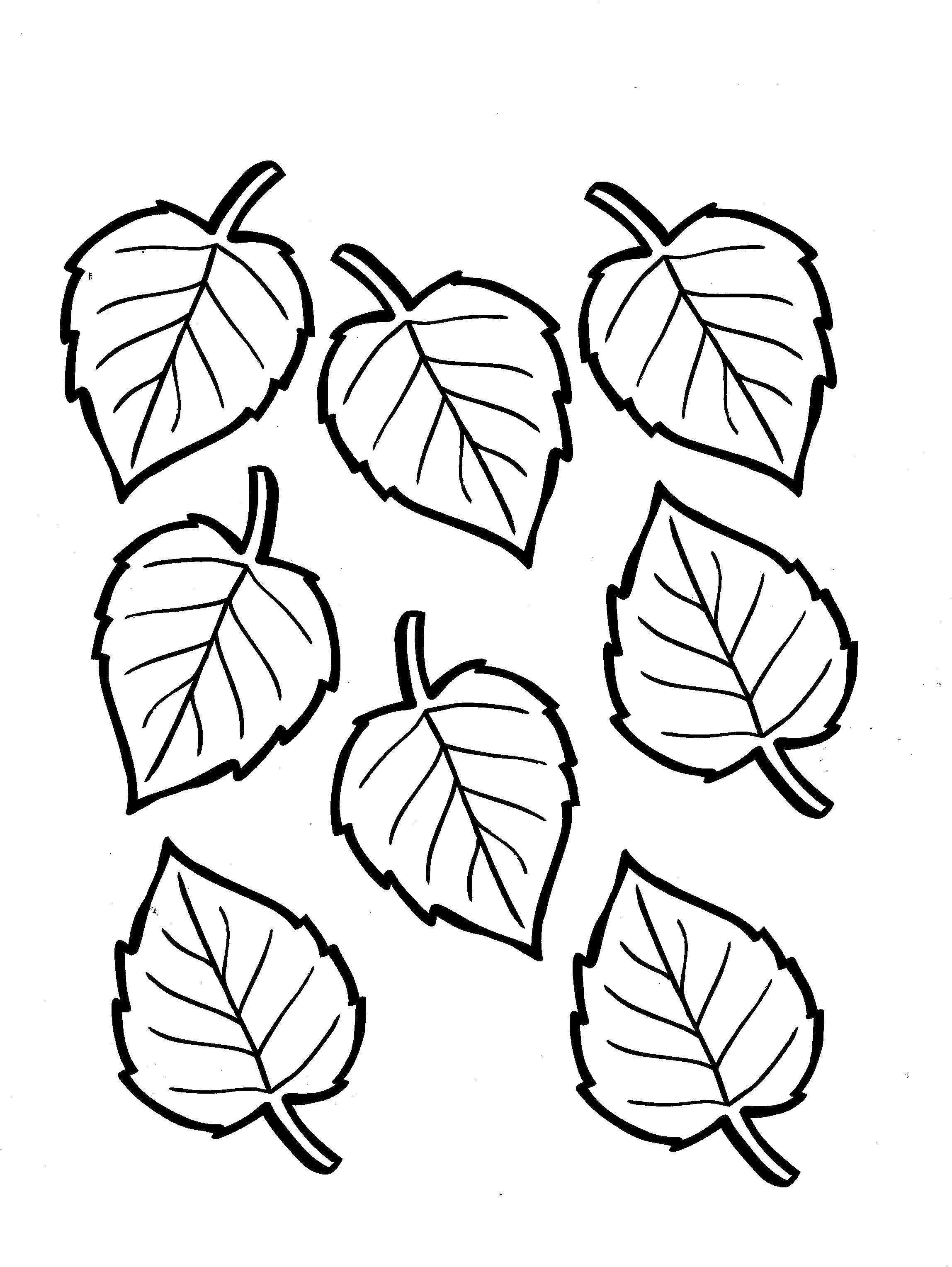 Стоковые векторные изображения по запросу Листья березы