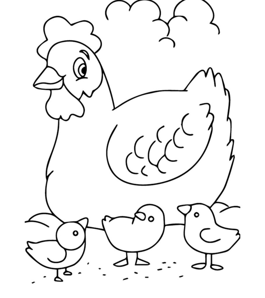 Раскраска курица и цыплята