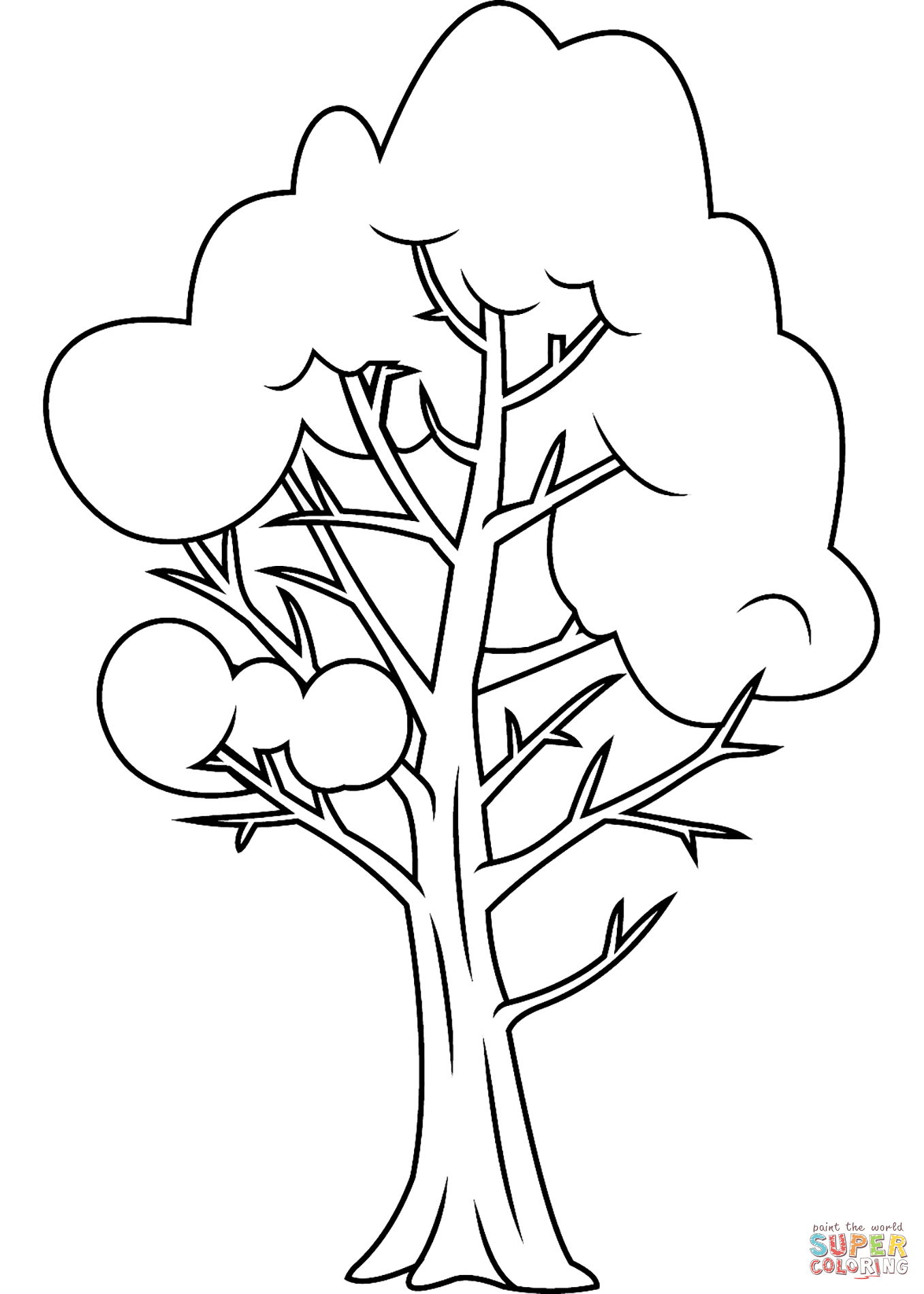 Раскраска Дерево береза | Раскраски деревья, их листья, цветение и семена