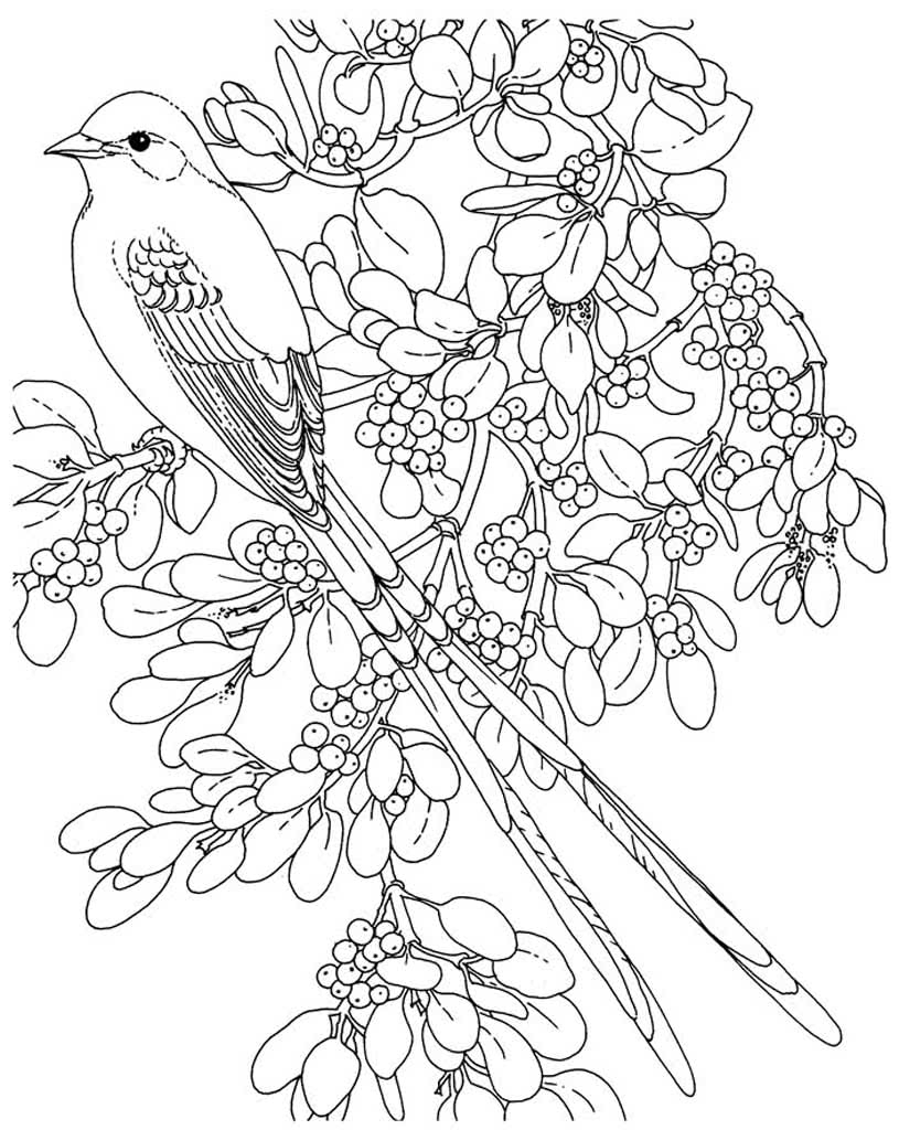 Раскраска Птицы и цветы