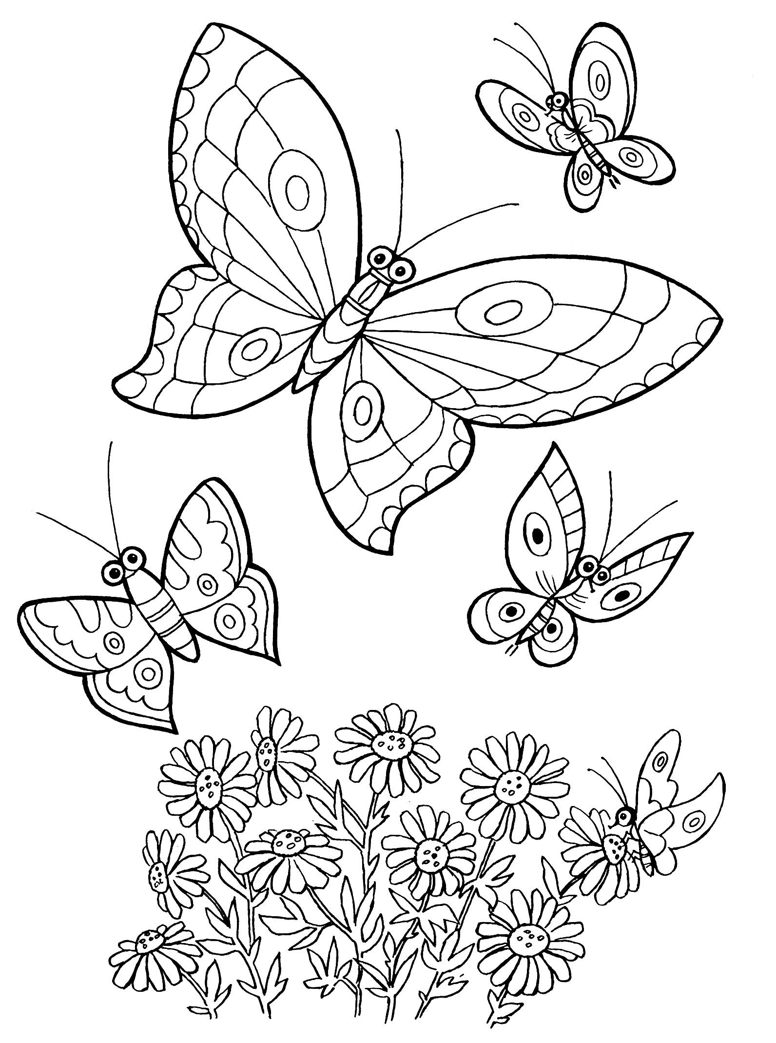 раскраски Бабочки