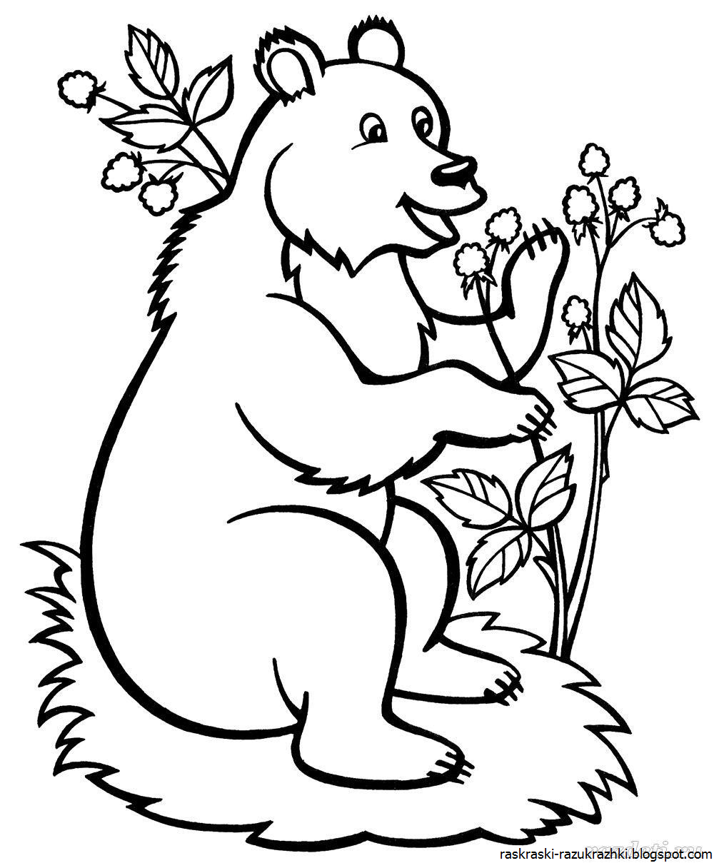 Раскраска Маша и медведь распечатать формат А4