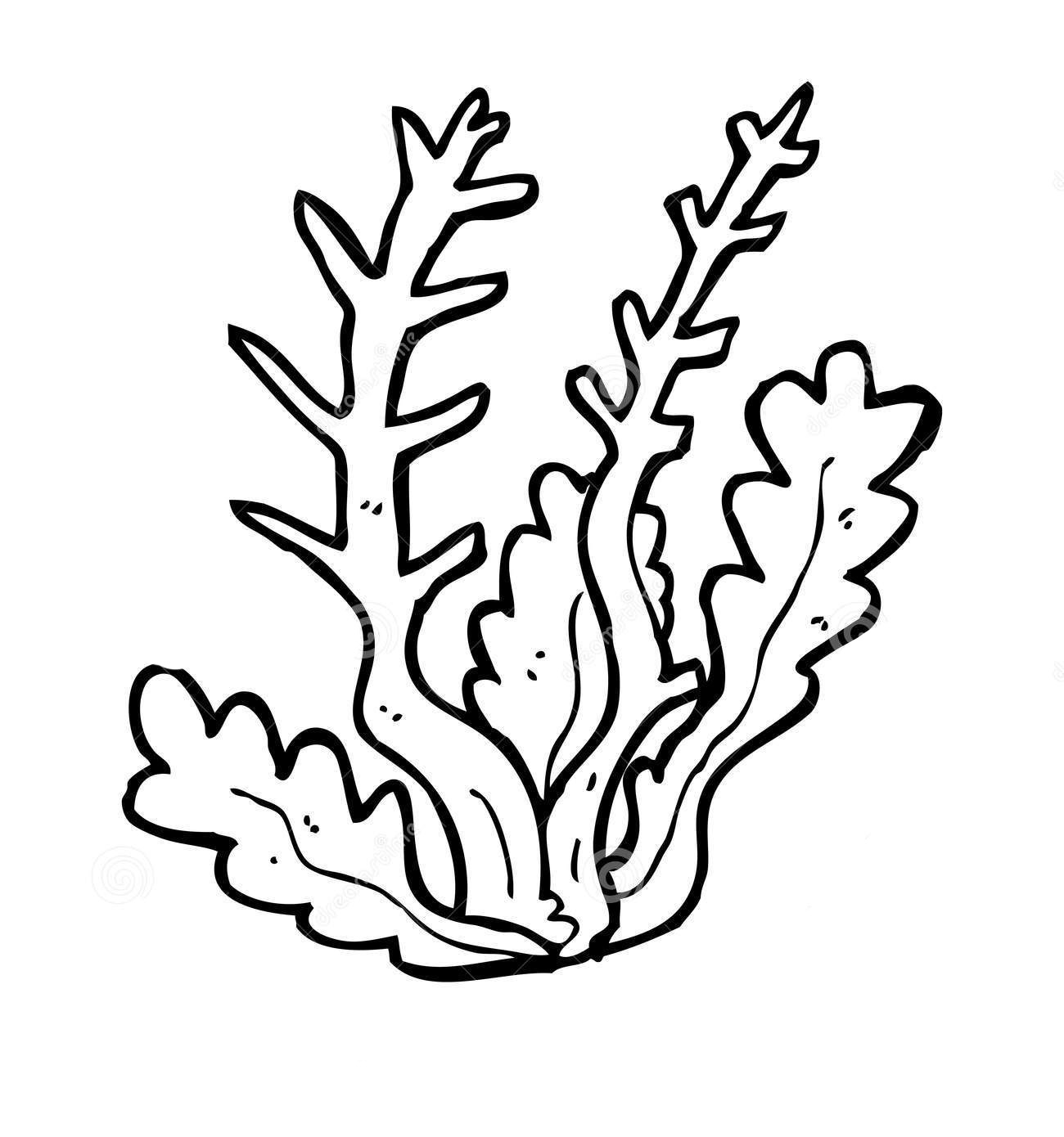 Раскраска Кораллы – Математические картинки
