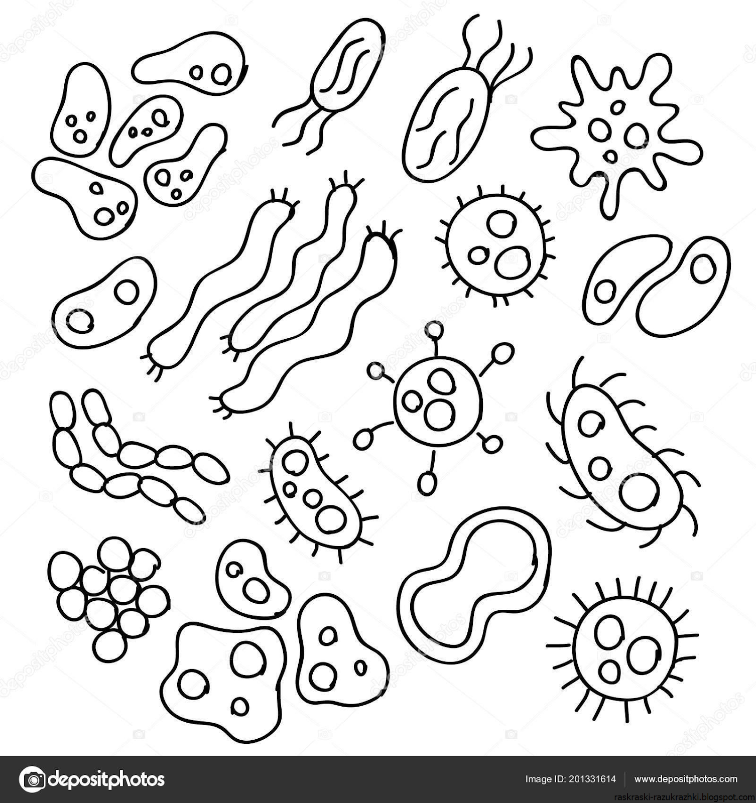 Изображения по запросу Бактерии рисунок