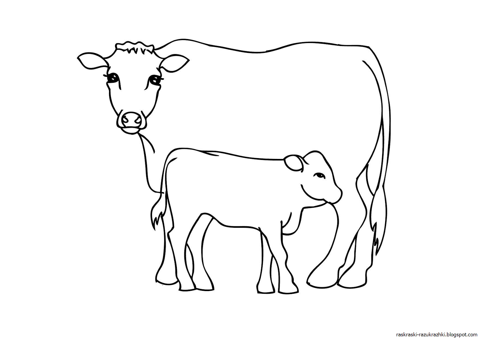 Раскраска бодрая корова