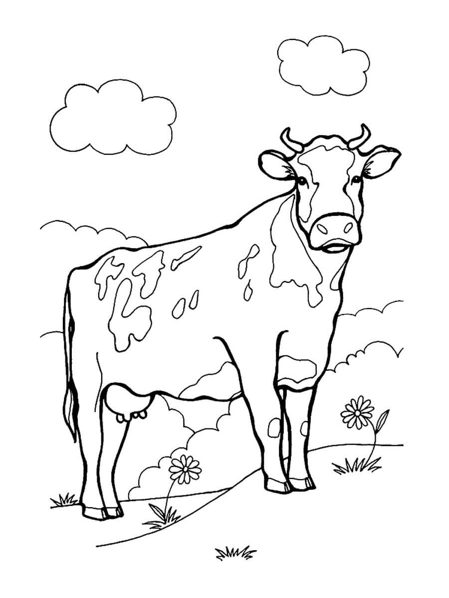 домашние животные корова и теленок