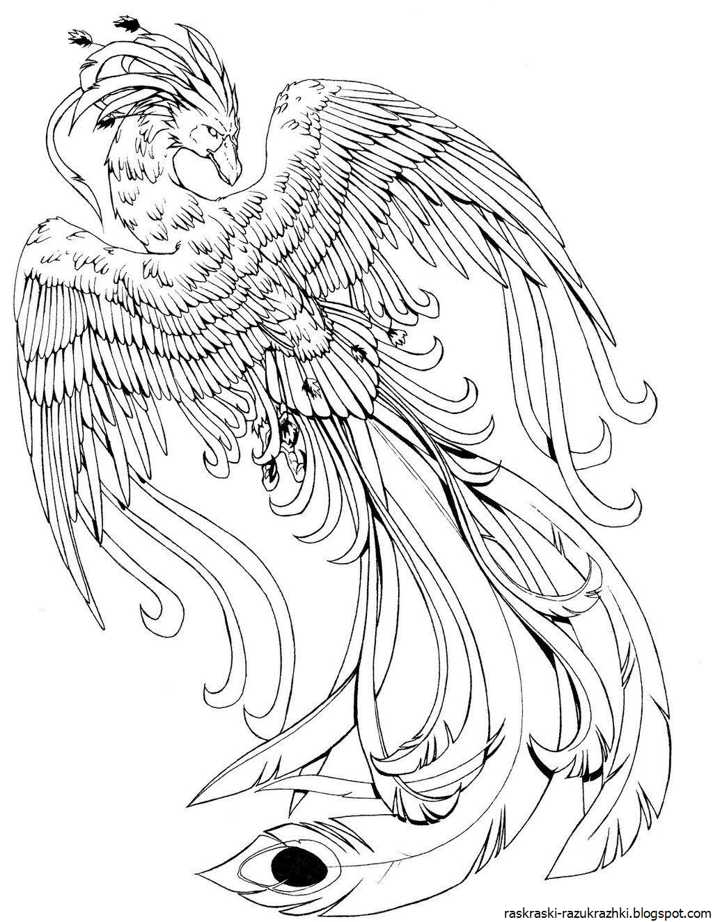 Раскраска птица феникс для печати бесплатно