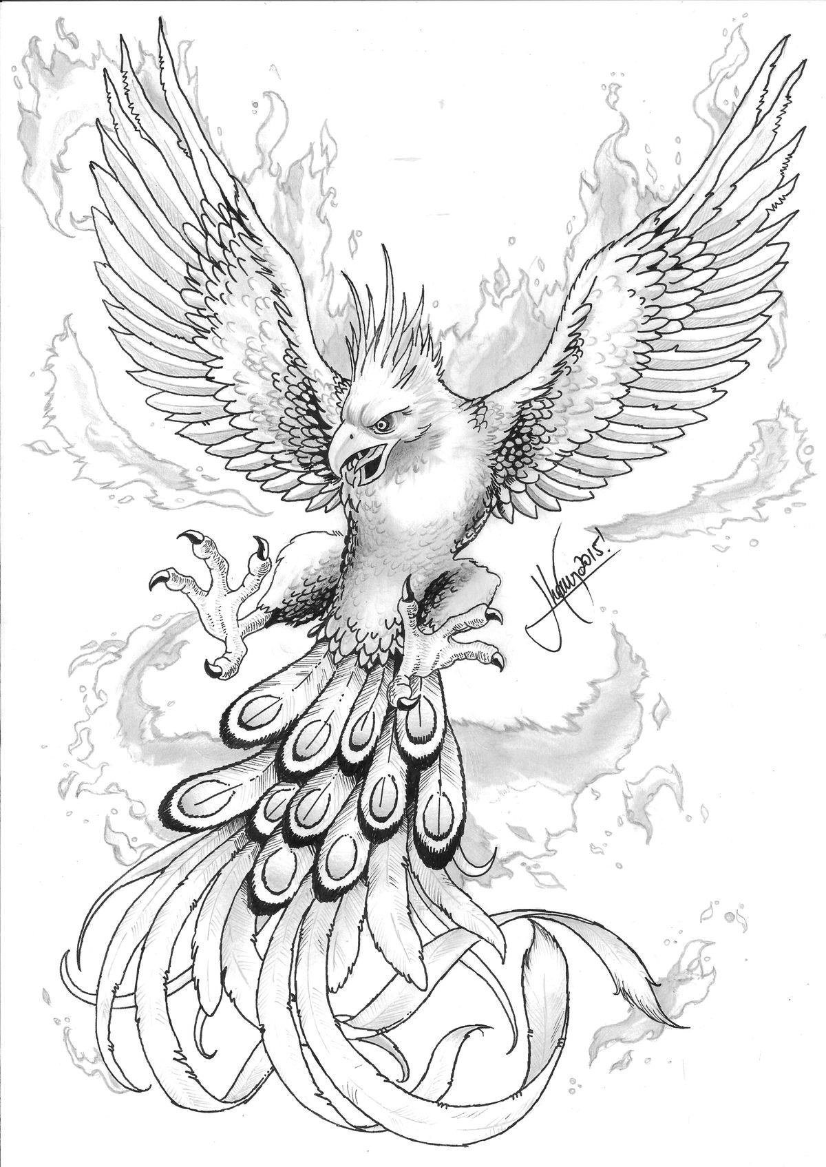 Птица феникс раскраска - 71 фото