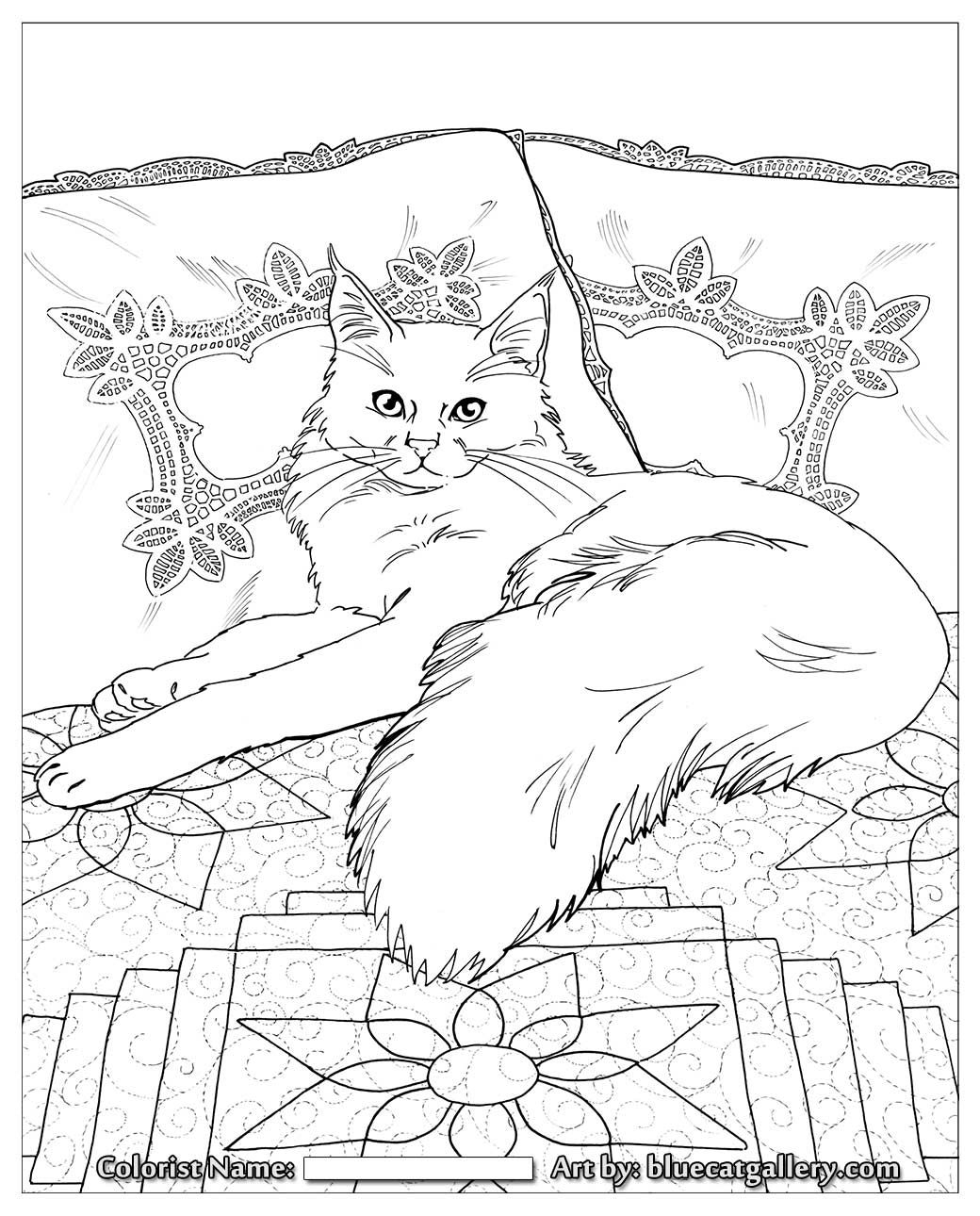Раскраска для взрослых Кот с газетой (AS0557) ArtStory