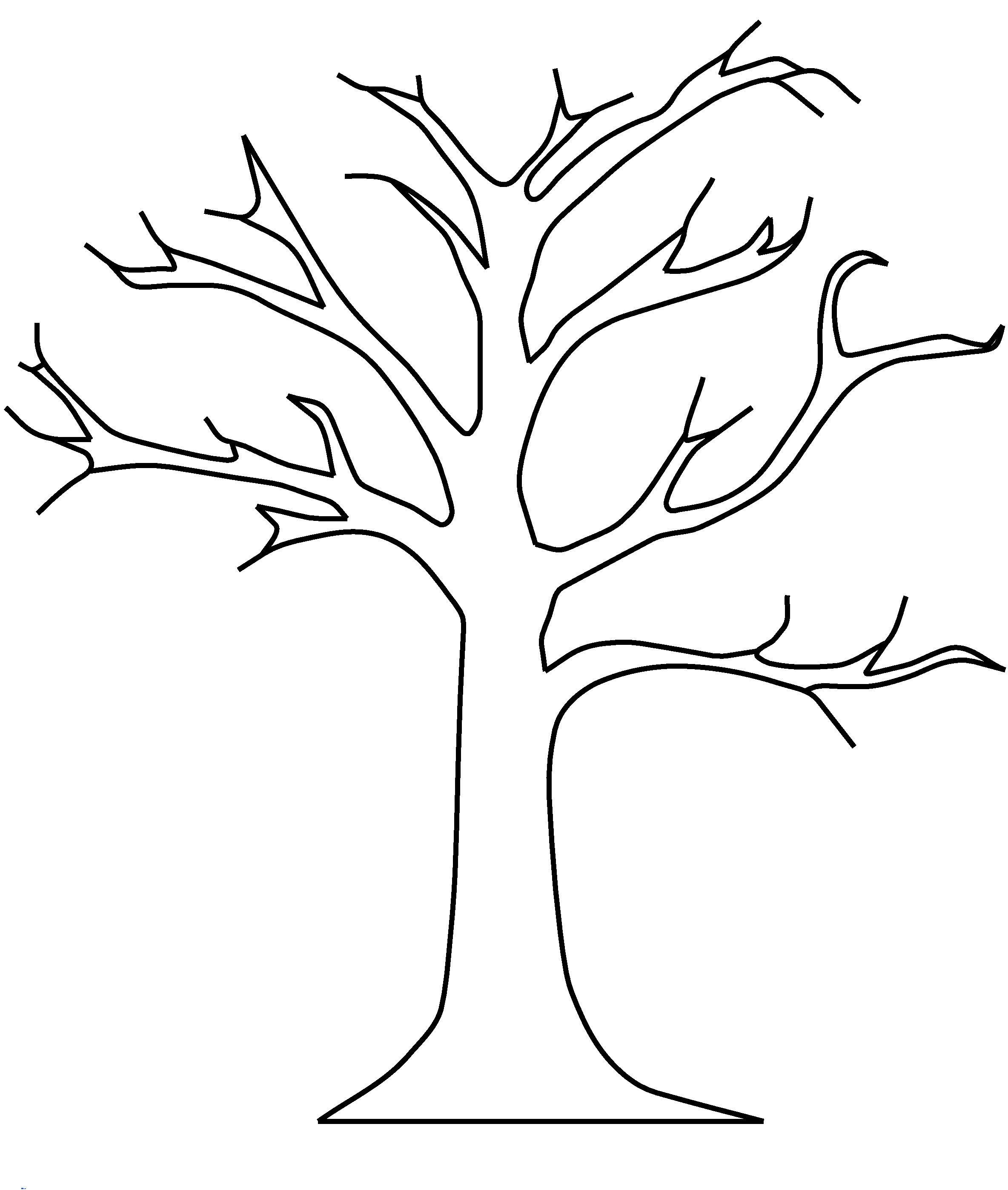 Раскраска - Дерево сосна