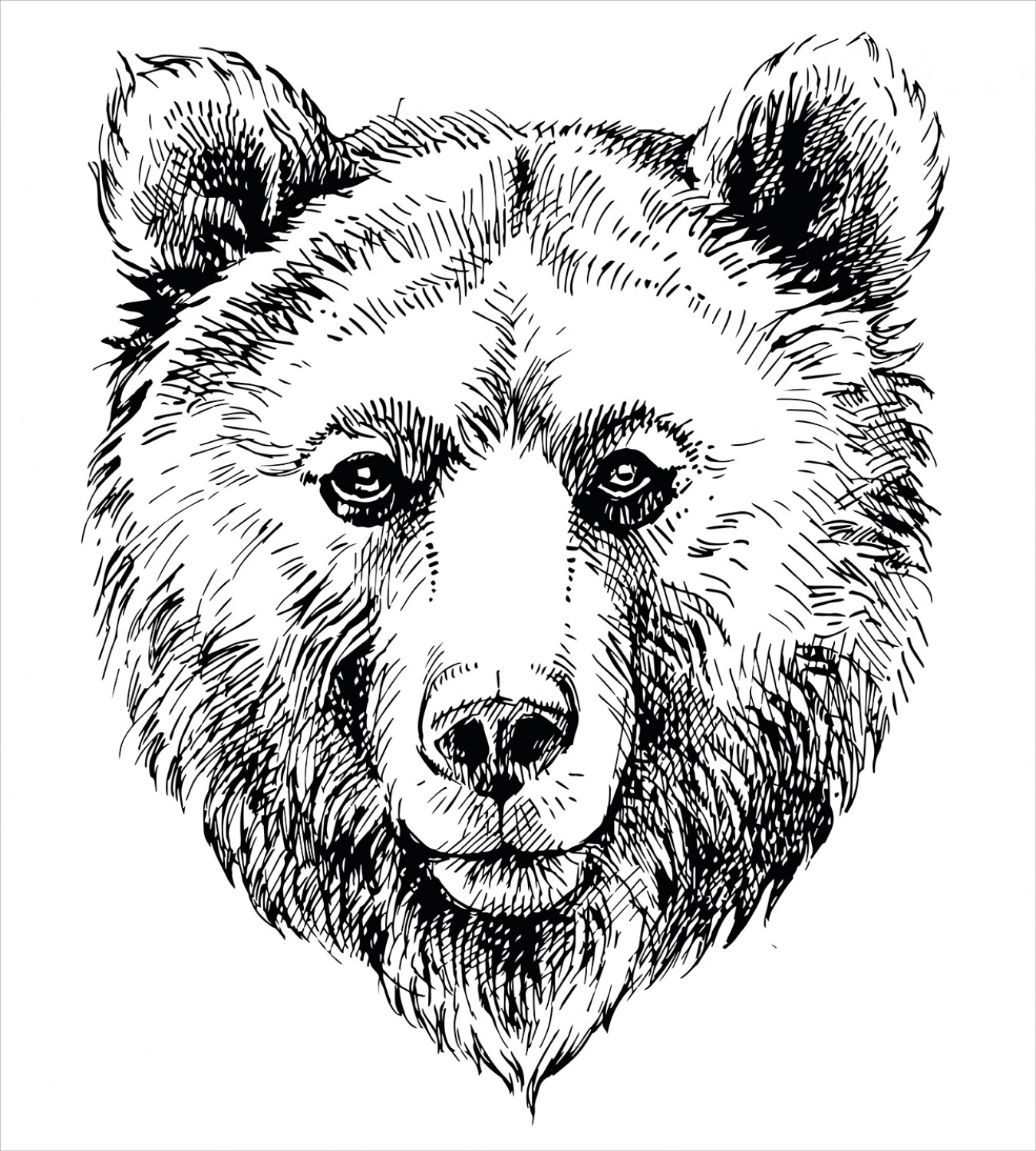 Раскраска Медвежья морда