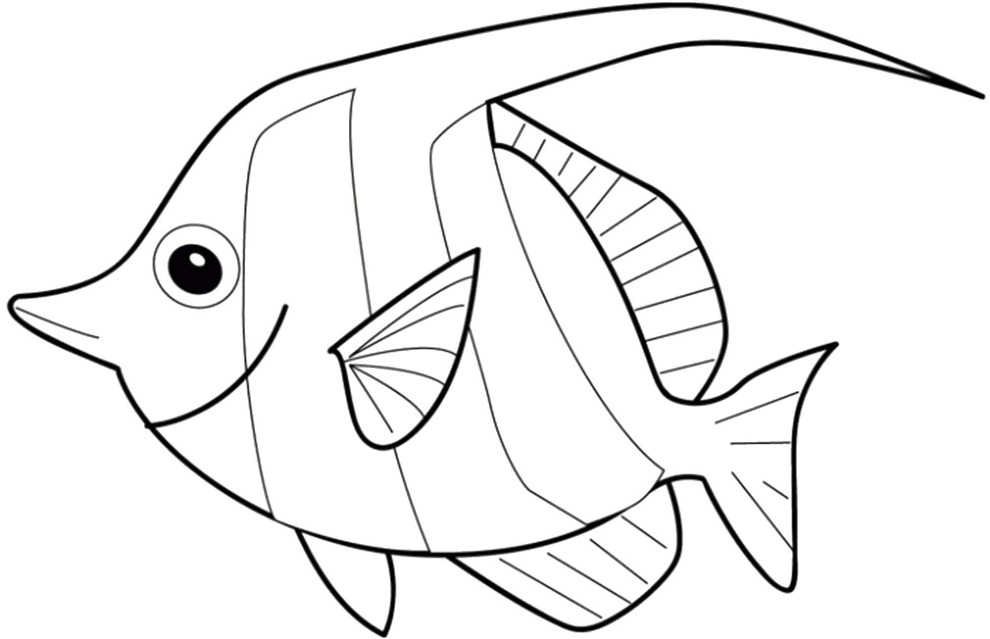 Распечатать детские раскраски про морских рыб.