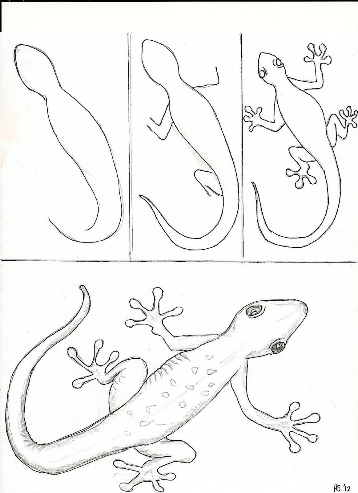 Как нарисовать ящерицу карандашами поэтапно