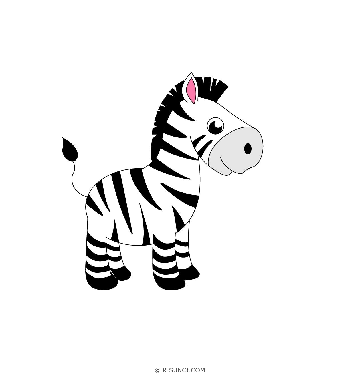 Фото по запросу Иллюстрация зебры детей