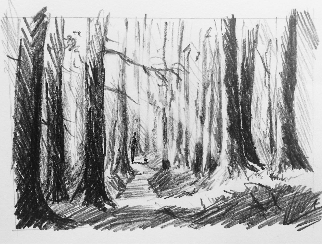 Рисование леса. Лес карандашом. Пейзаж леса рисунок карандашом. Набросок леса. Пейзаж штрихами.