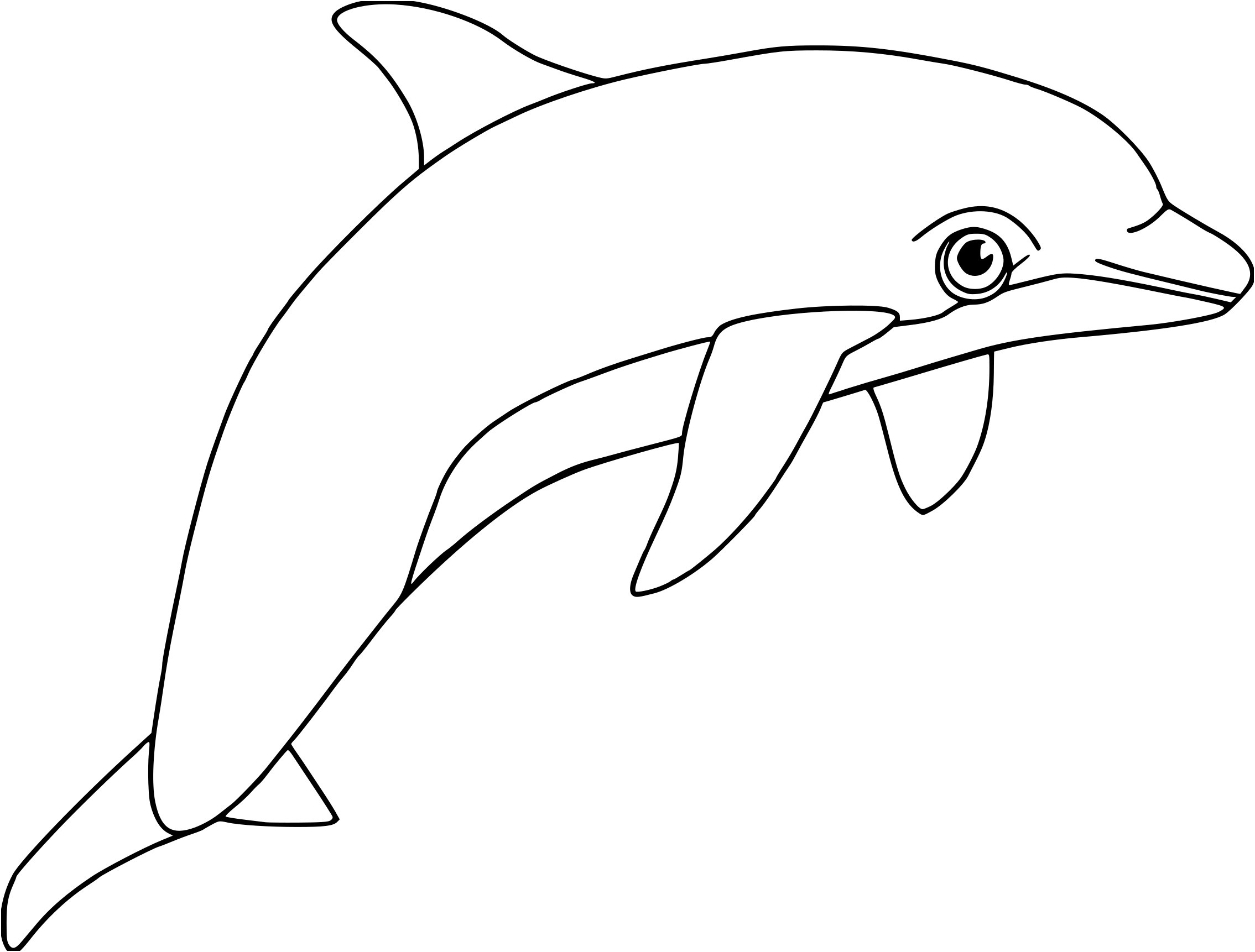 Раскрашивать дельфины. Беломордый Дельфин раскраска. Черноморская Афалина. Дельфины картинки раскраски. Дельфин раскраска для детей.