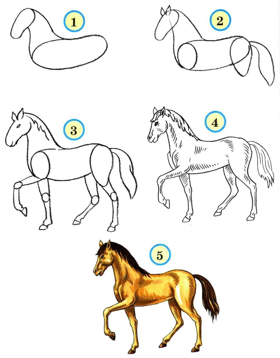 Учимся рисовать лошадь.