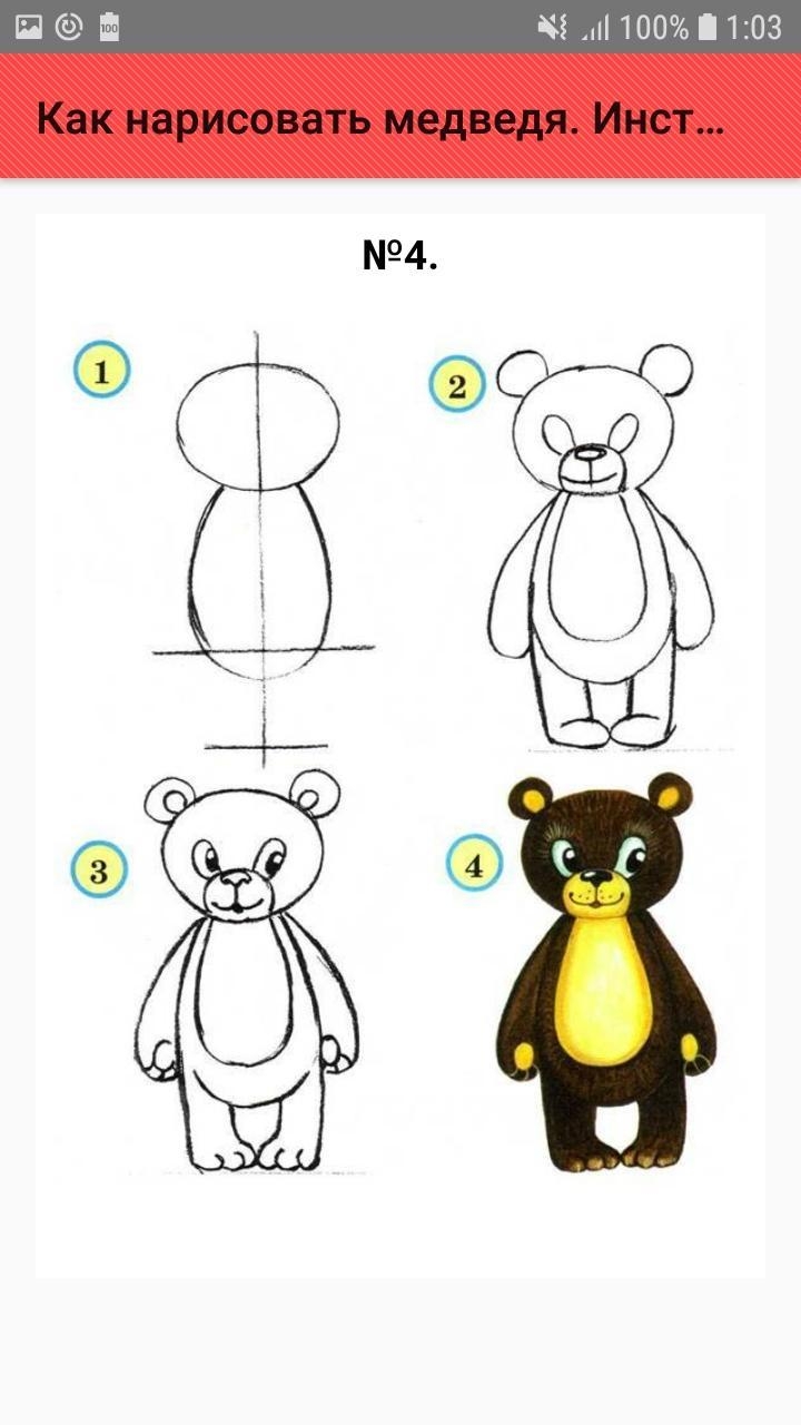 Идеи для срисовки легкие медведя поэтапно (90 фото)