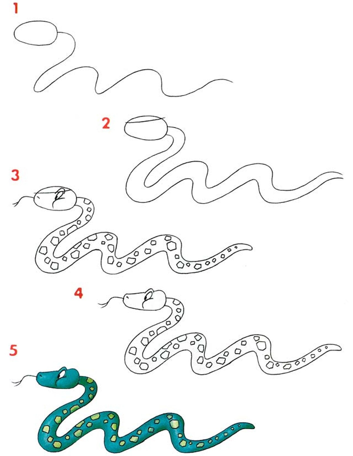 Как нарисовать змею. Змея поэтапное рисование. Как нарисовать Мью. Схема рисования змеи.