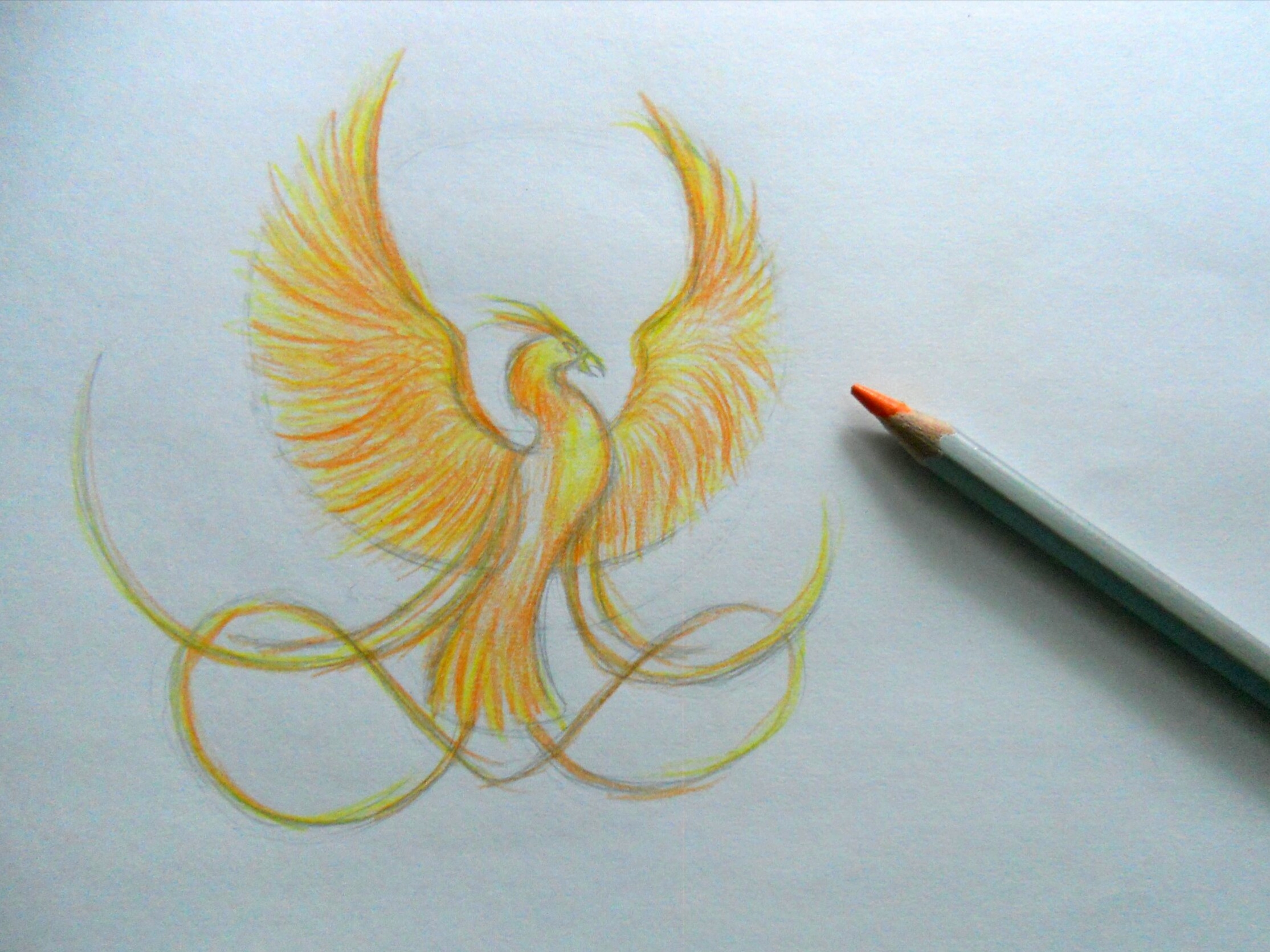 феникс рисунок карандашом
