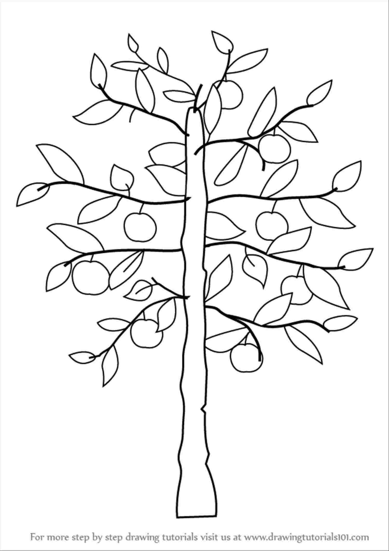Яблоня карандашом. Дерево рисунок раскраска. Дерево для рисования. Осеннее дерево раскраска. Трафареты деревьев для рисования для детей.