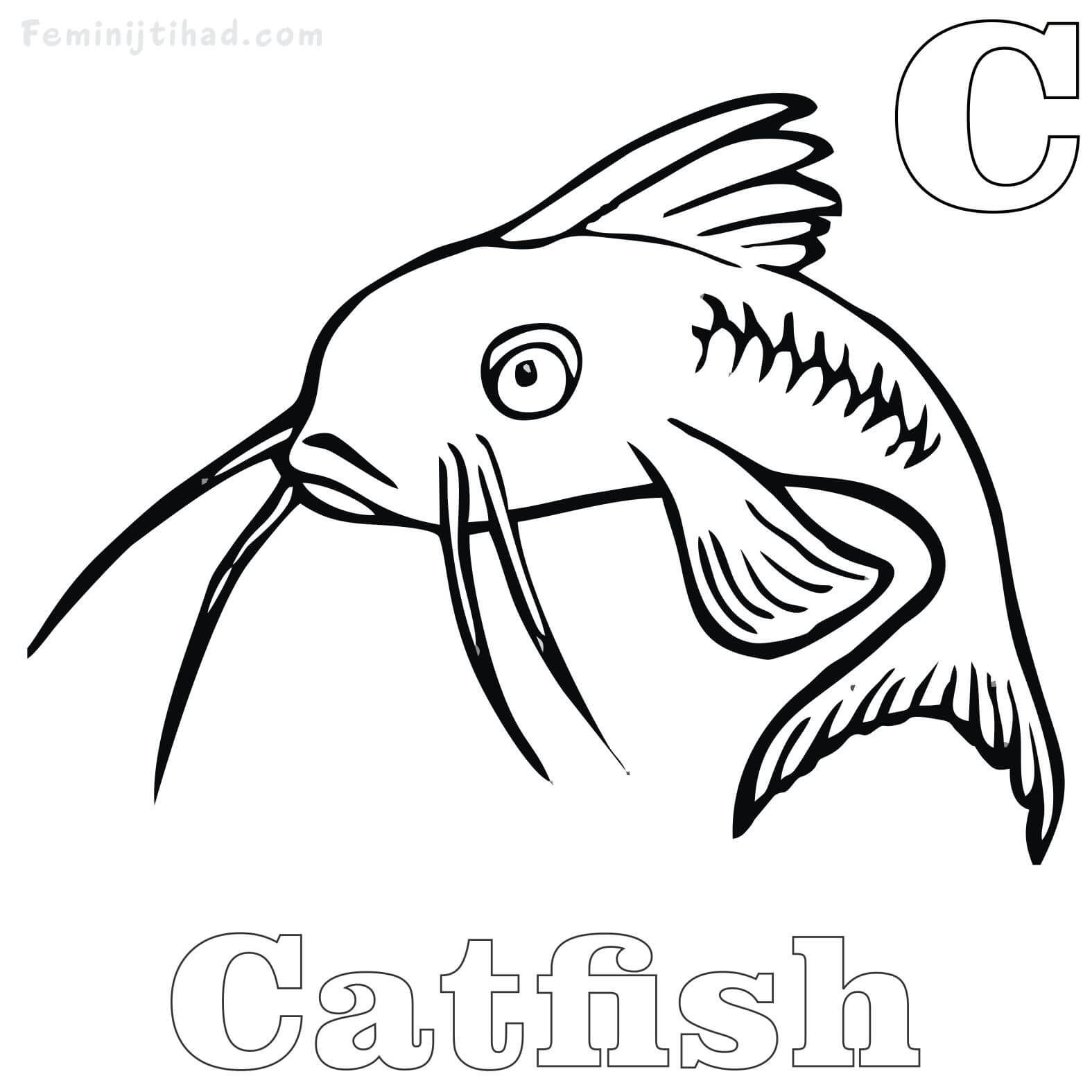 Как нарисовать рыбу сома