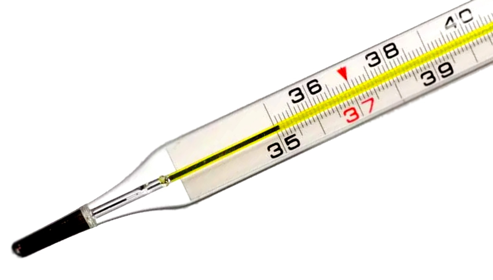 Декоративный термометр в интернет-магазине c доставкой по РФ