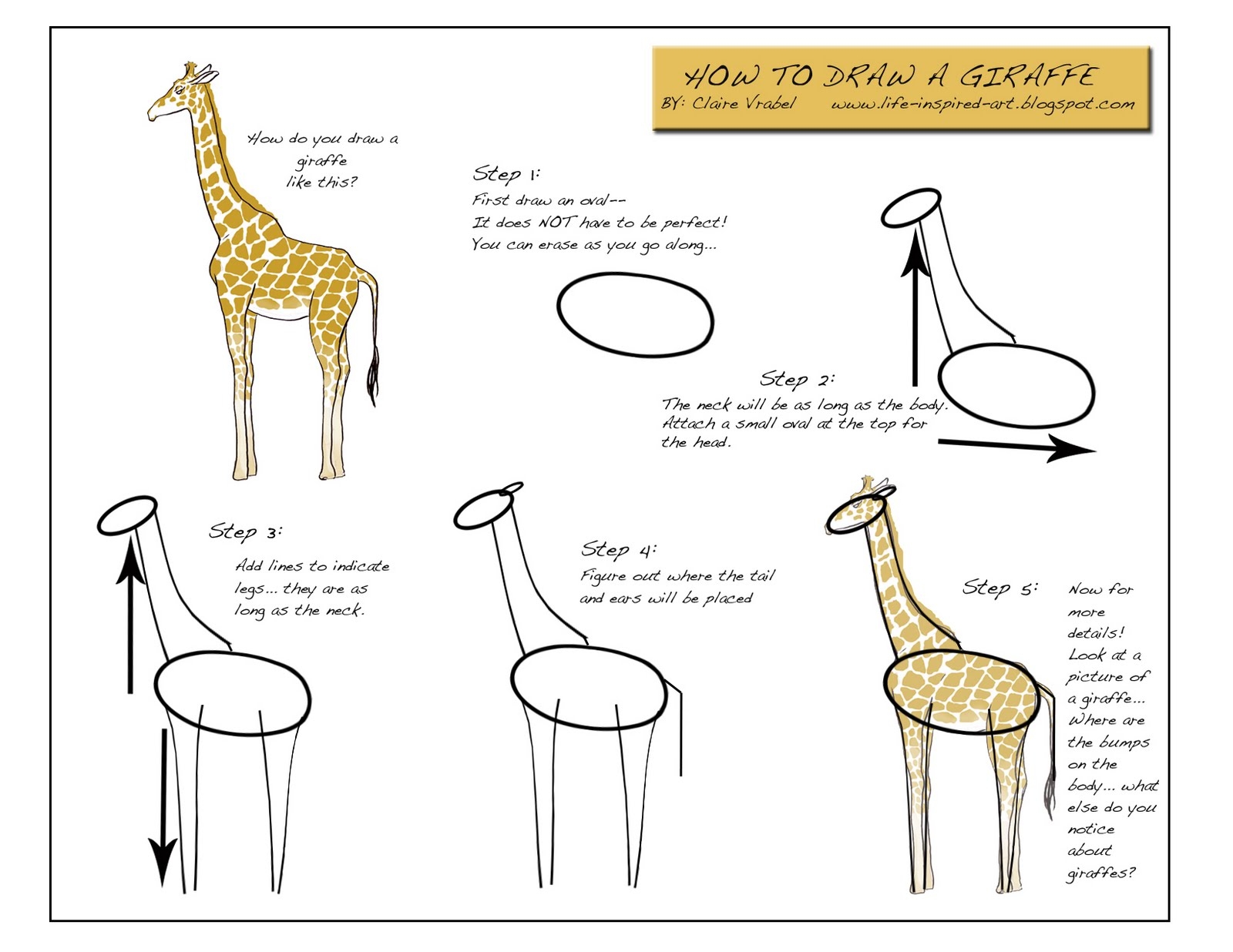 Жираф поэтапно для детей. Жираф поэтапное рисование для детей. Схема рисования жирафа в старшей группе. Поэтапное рисование жирафа в подготовительной группе. Жираф для рисования детям.
