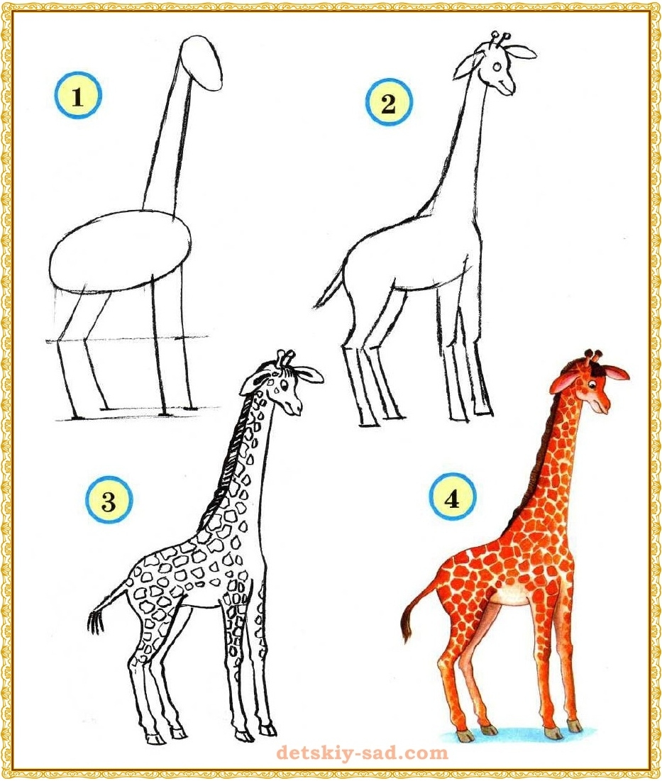 Рисуем жирафа карандашом поэтапно!