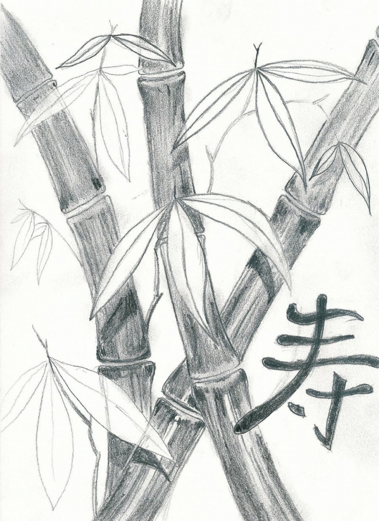 Бамбук поэтапное рисование