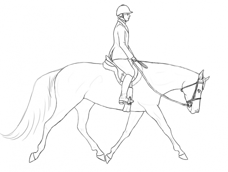Поэтапное рисование человека на коне